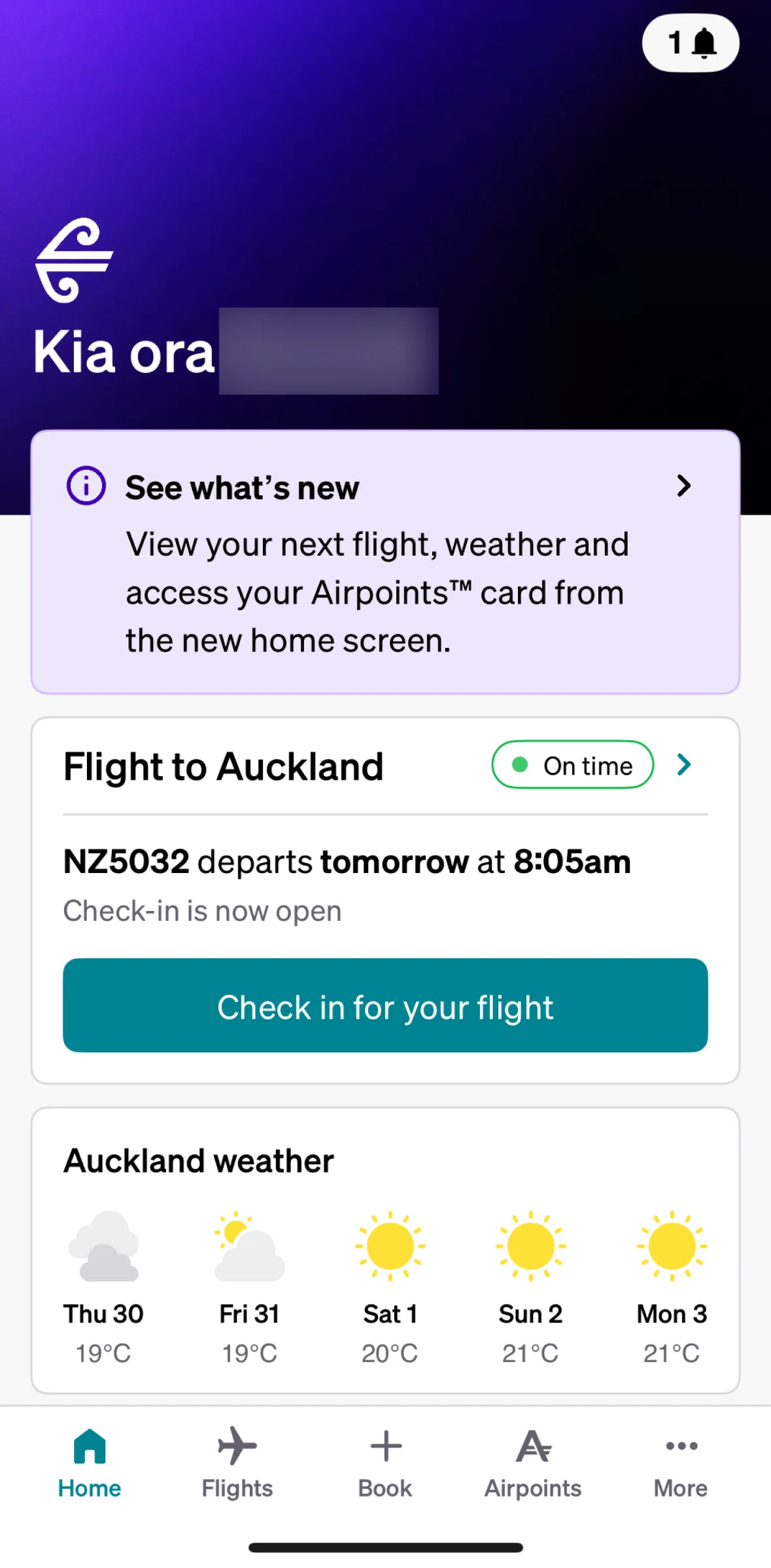 Air NZ Screen screen in the What's new flow