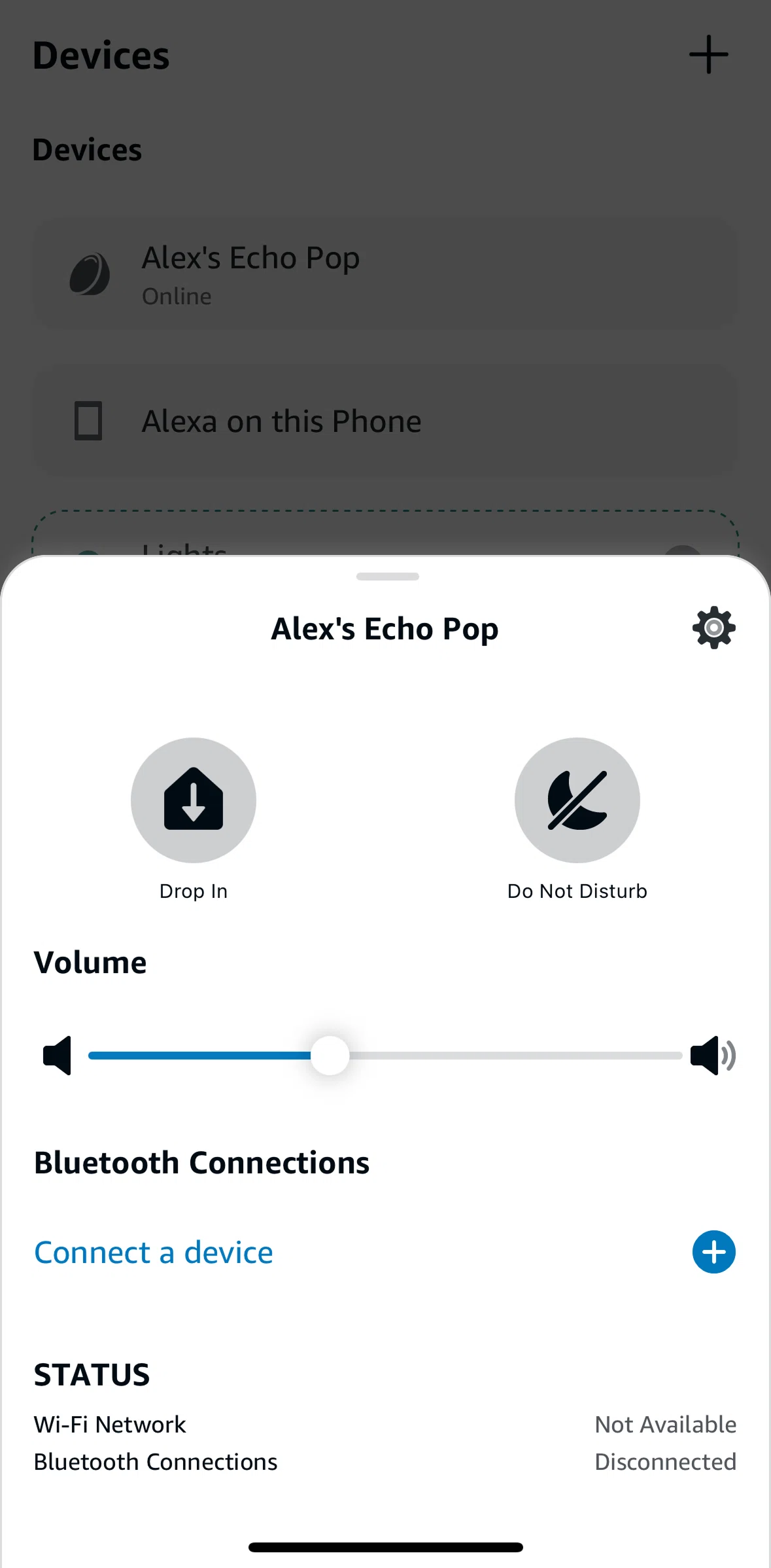 Amazon Alexa Screen screen in the Starting a Drop In flow
