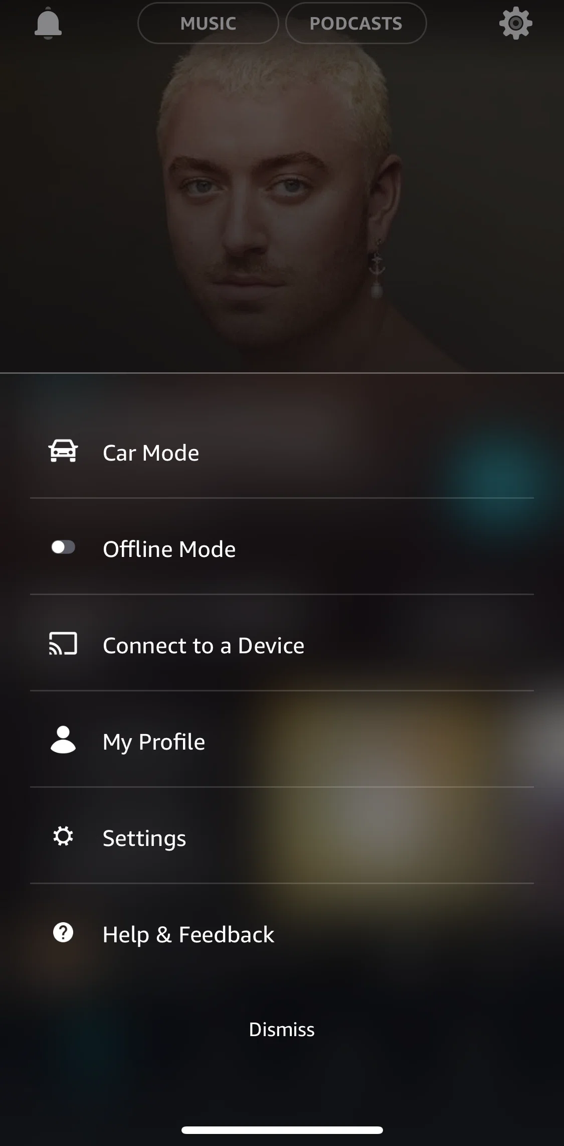 Amazon Music Screen screen in the Enabling offline mode flow