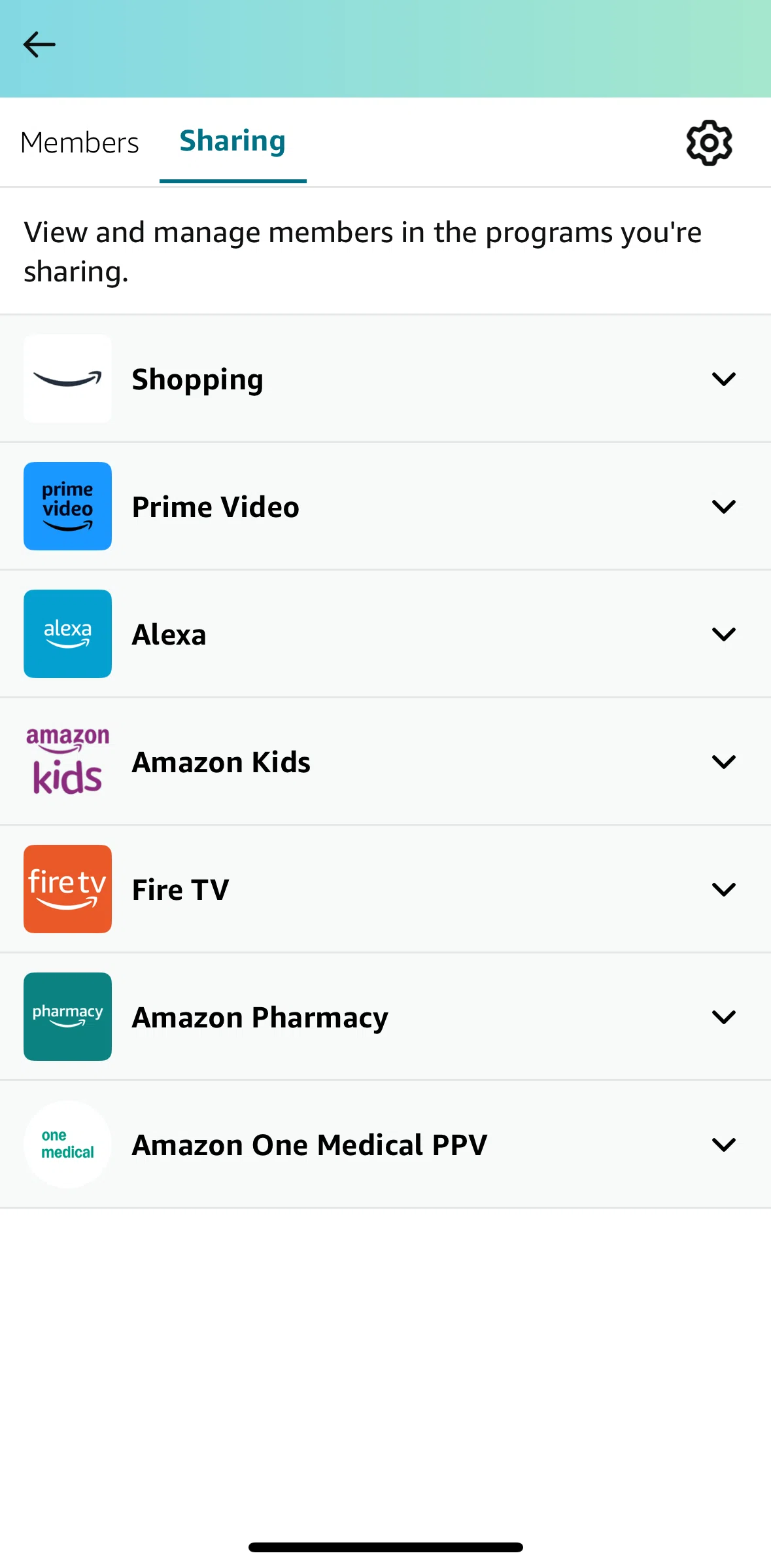 Amazon Shopping Screen screen in the Sharing flow