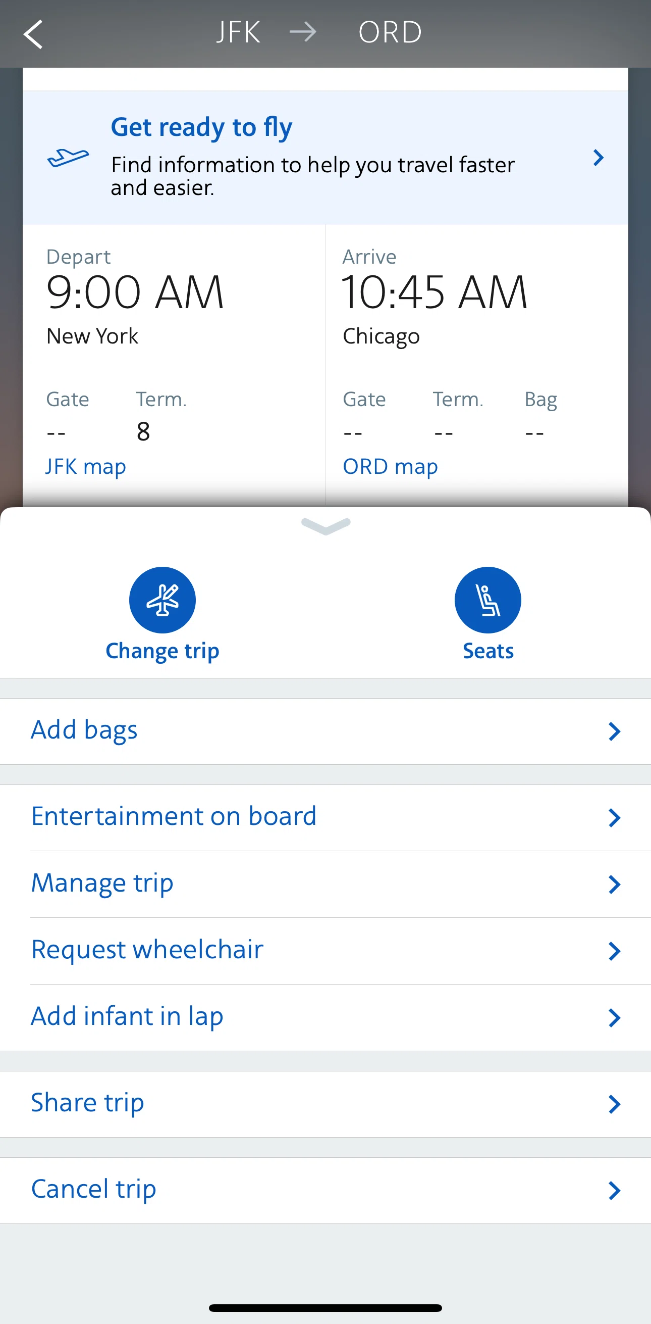 American Airlines Screen screen in the Manage trip flow