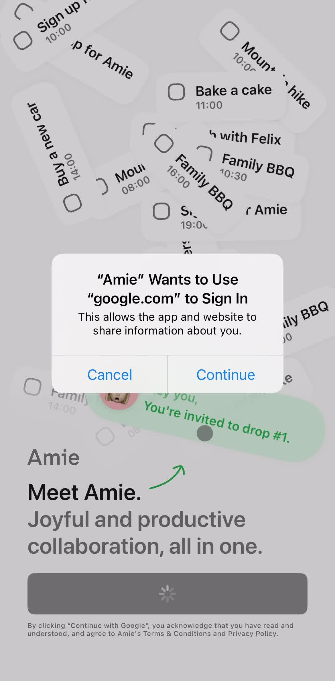 Amie Access screen in the Onboarding flow