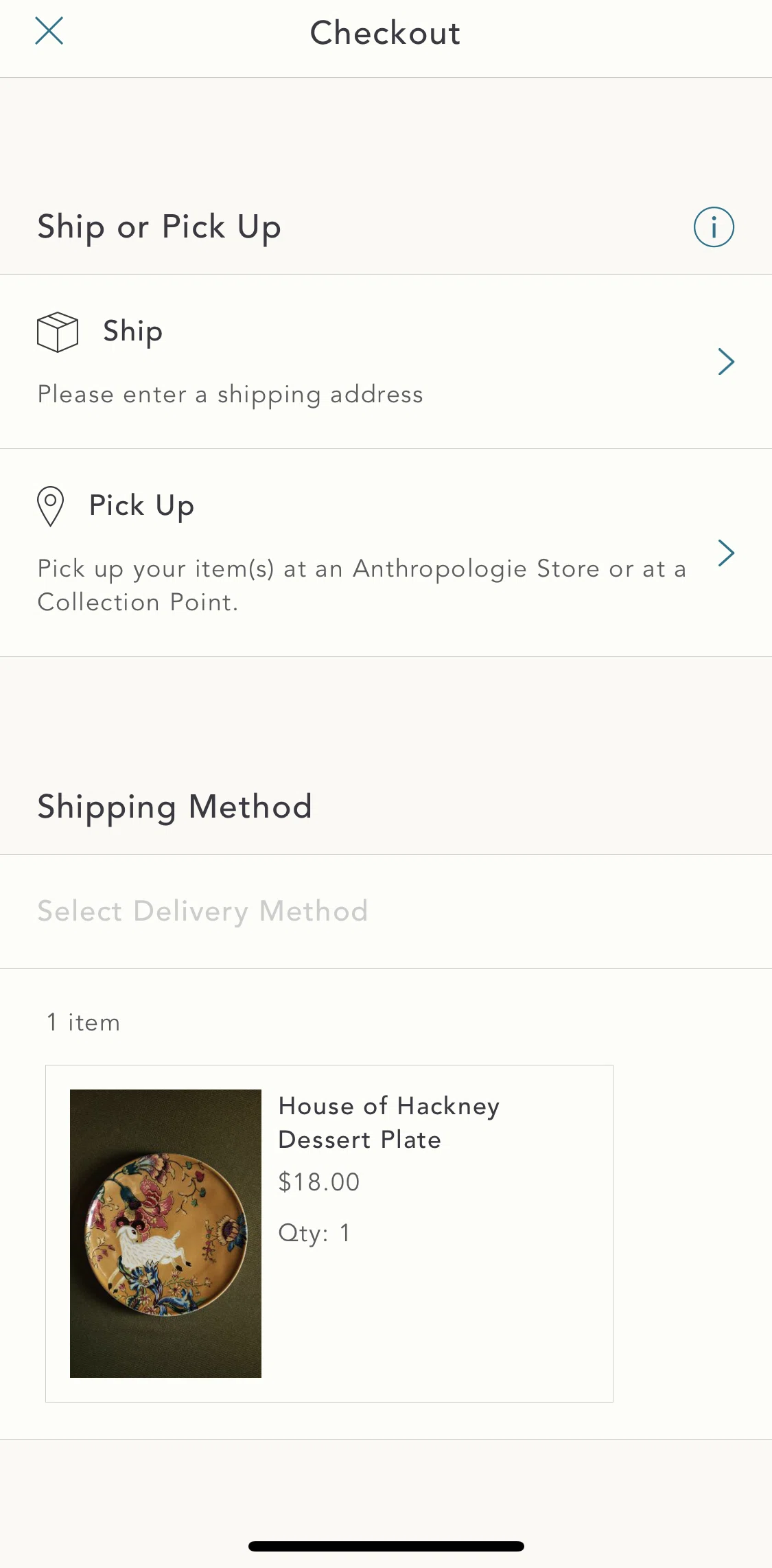 Anthropologie Screen screen in the More about delivery methods flow
