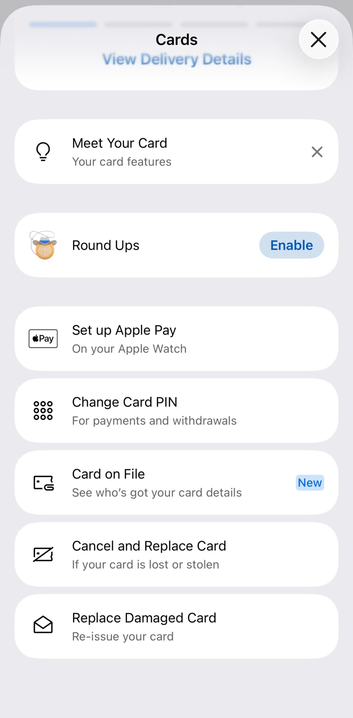 ANZ Plus Screen screen in the Cancel and replace a card flow