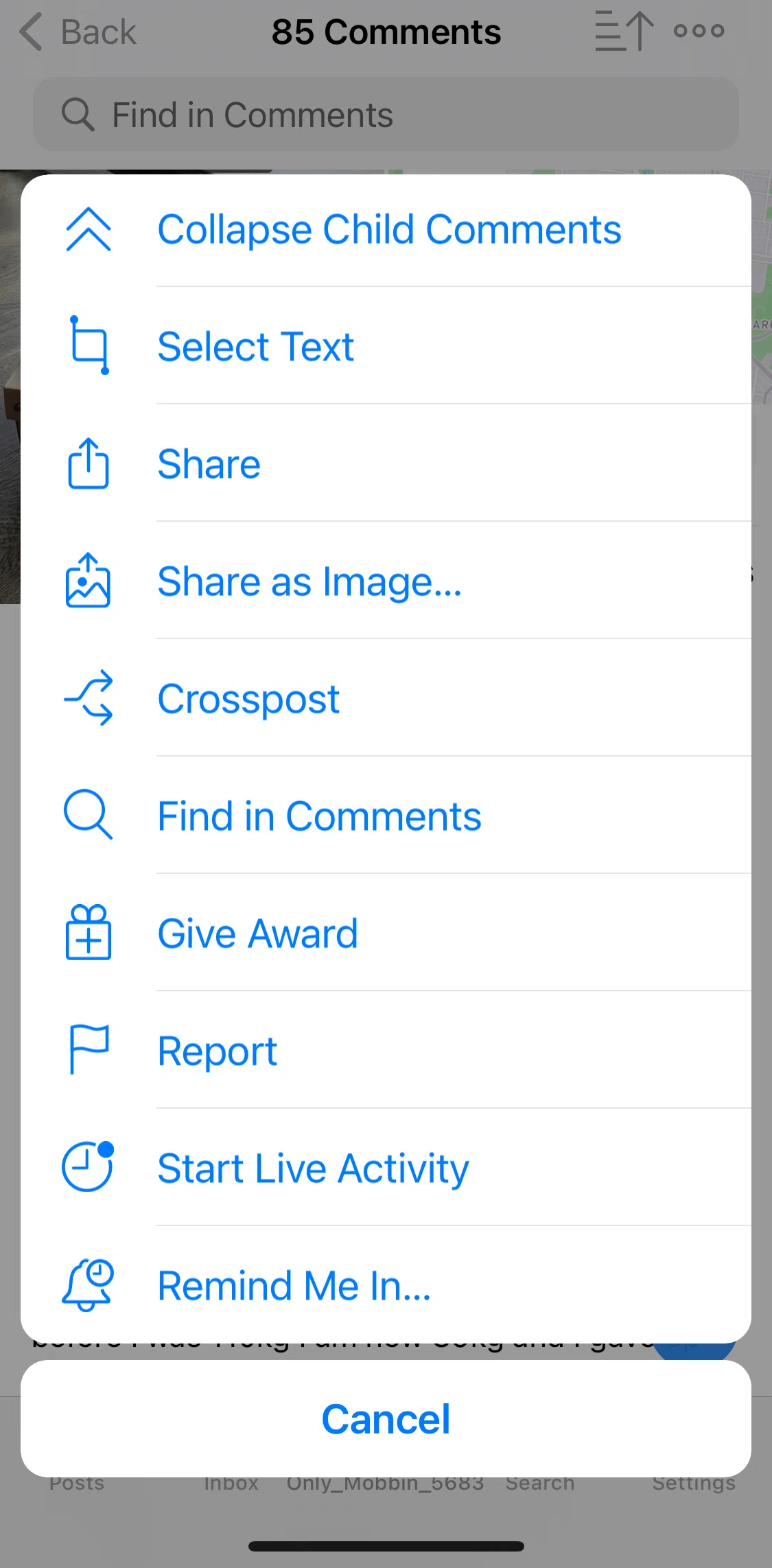 Apollo for Reddit Screen screen in the Sharing a comment as image flow