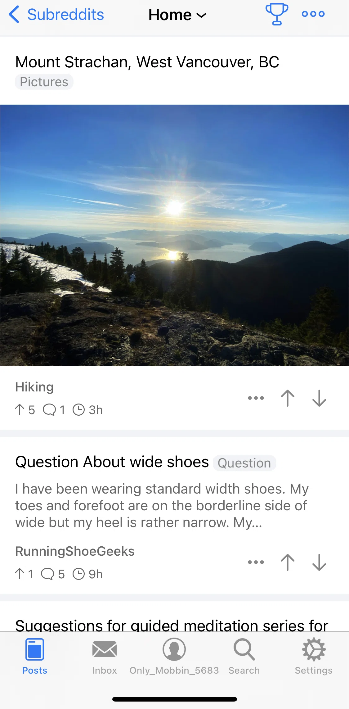 Apollo for Reddit Screen screen in the Sorting posts flow