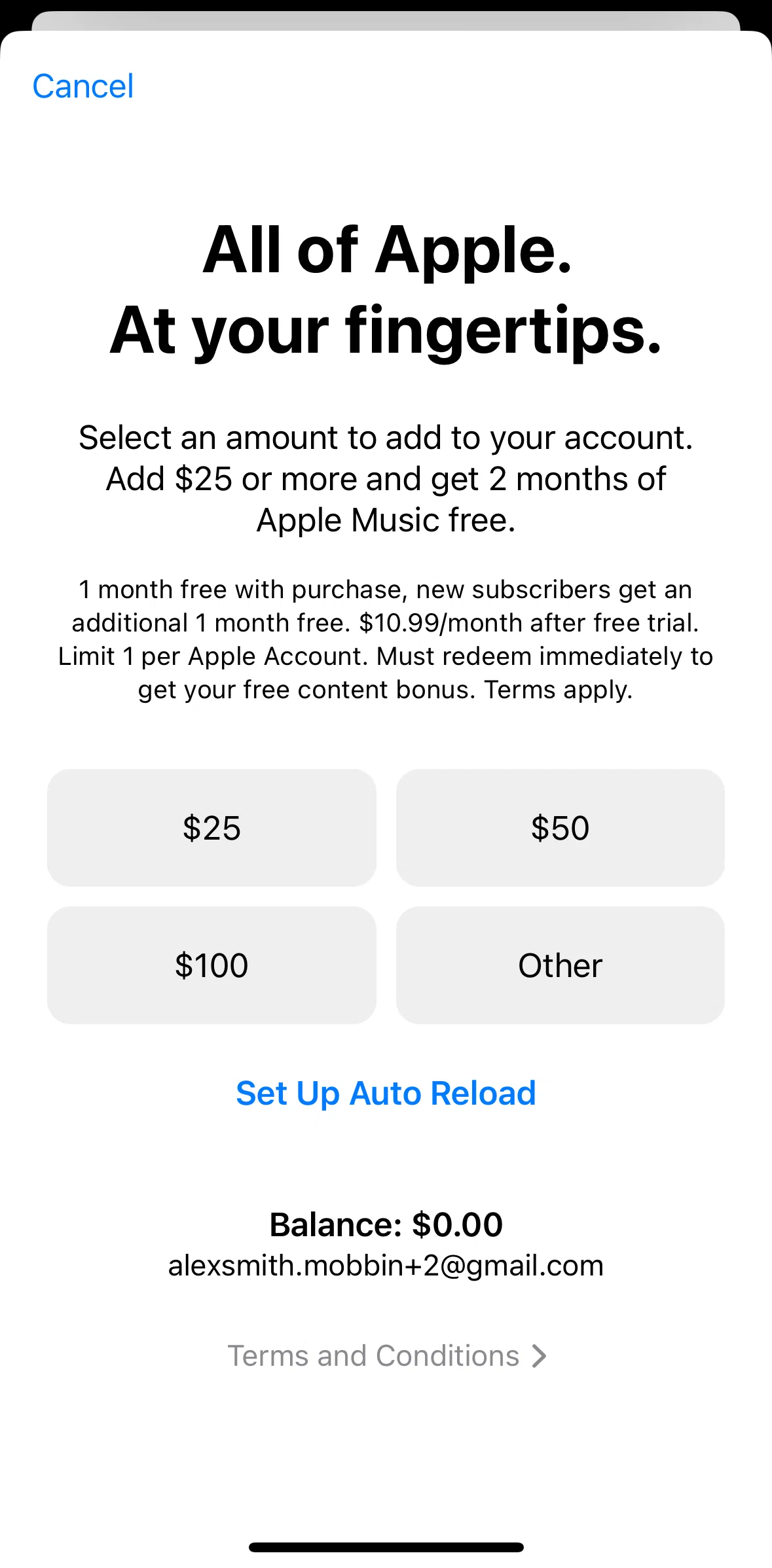 App Store Screen screen in the Adding custom amount to account flow