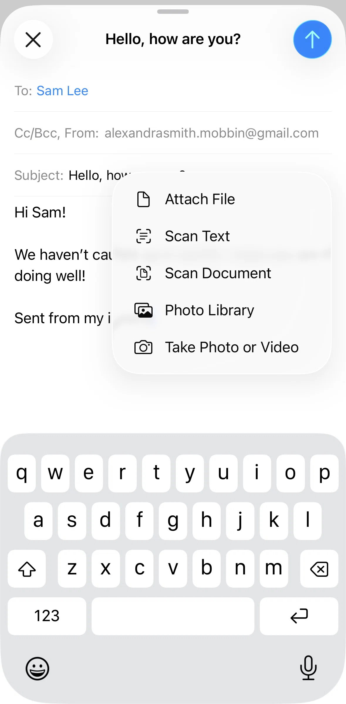 Apple Mail Screen screen in the Scanning a document flow