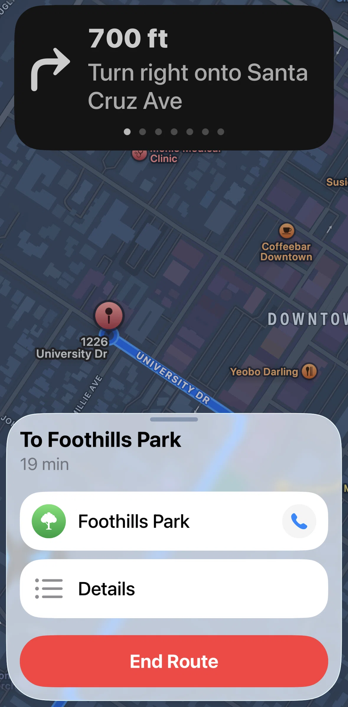 Apple Maps Screen screen in the Route details flow