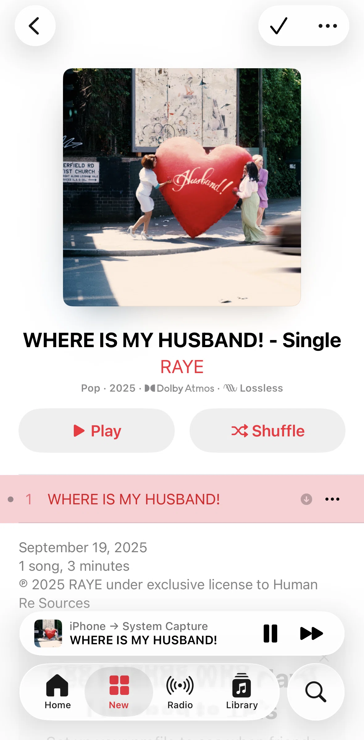 Apple Music Screen screen in the Deleting from library flow