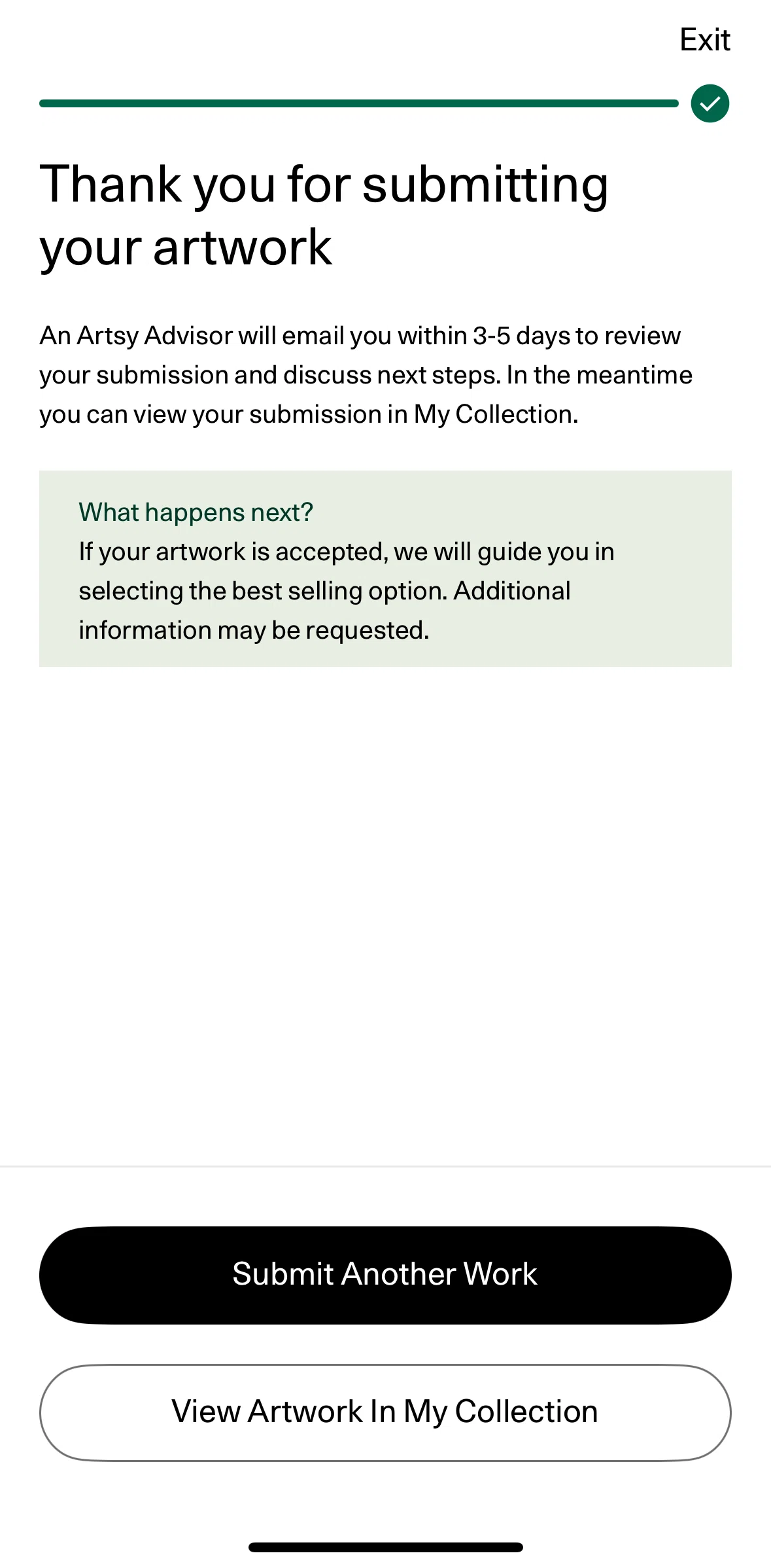 Artsy Screen screen in the View submitted artwork flow