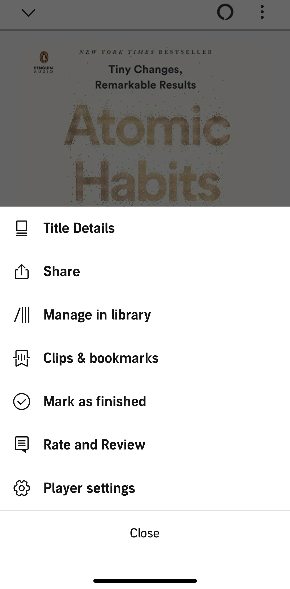 Audible Screen screen in the Player settings flow