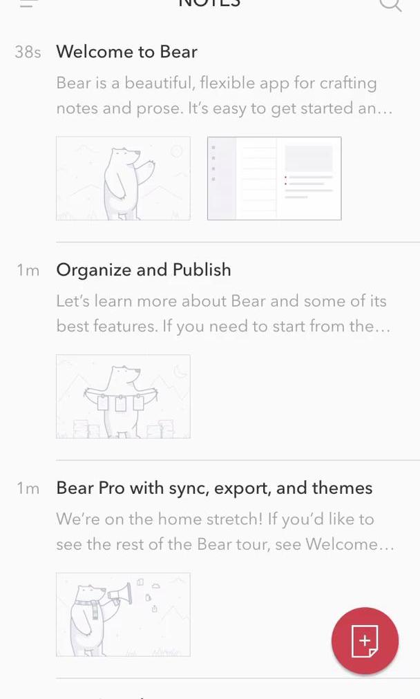 Bear Notes Notes screen in the Creating A Post flow