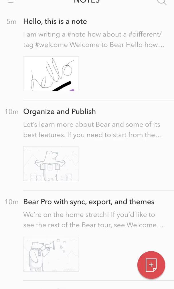Bear Notes Notes screen in the General Browsing flow