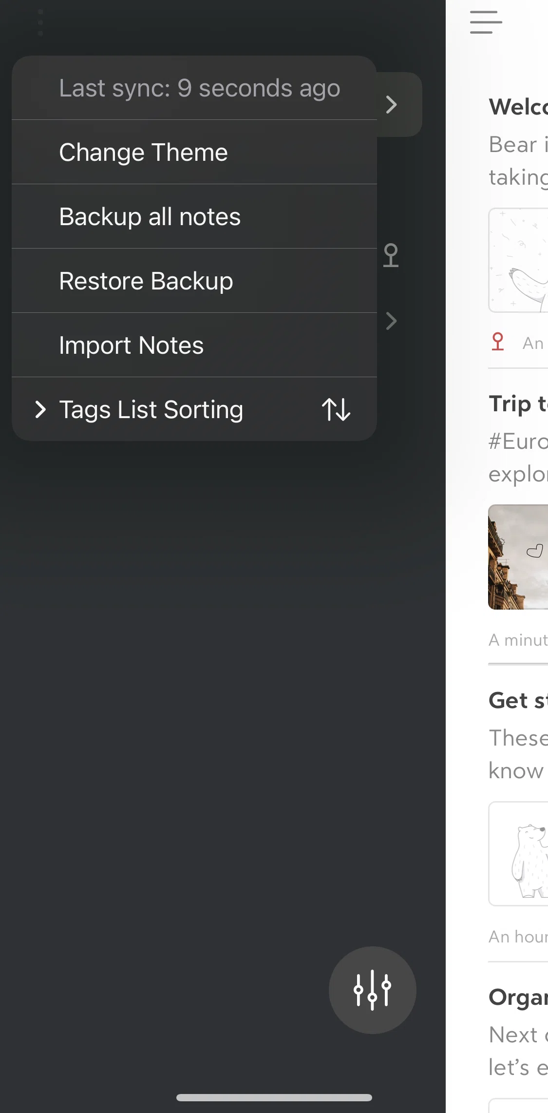Bear Screen screen in the Importing notes flow
