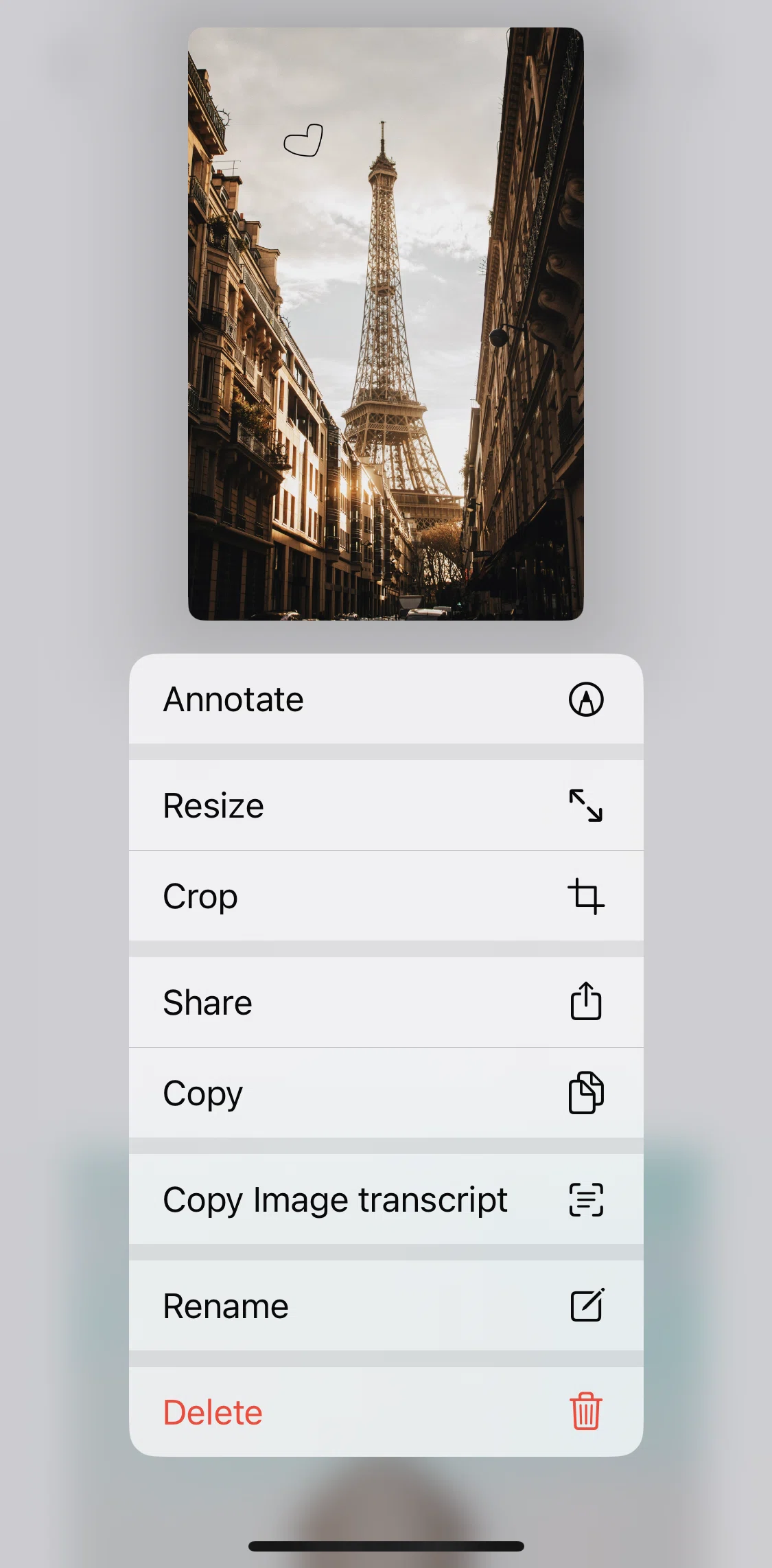 Bear Screen screen in the Resizing an image flow