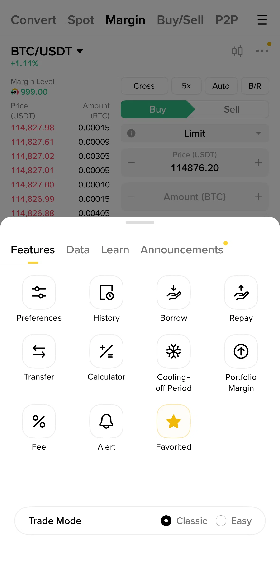 Binance Screen screen in the Margin data flow
