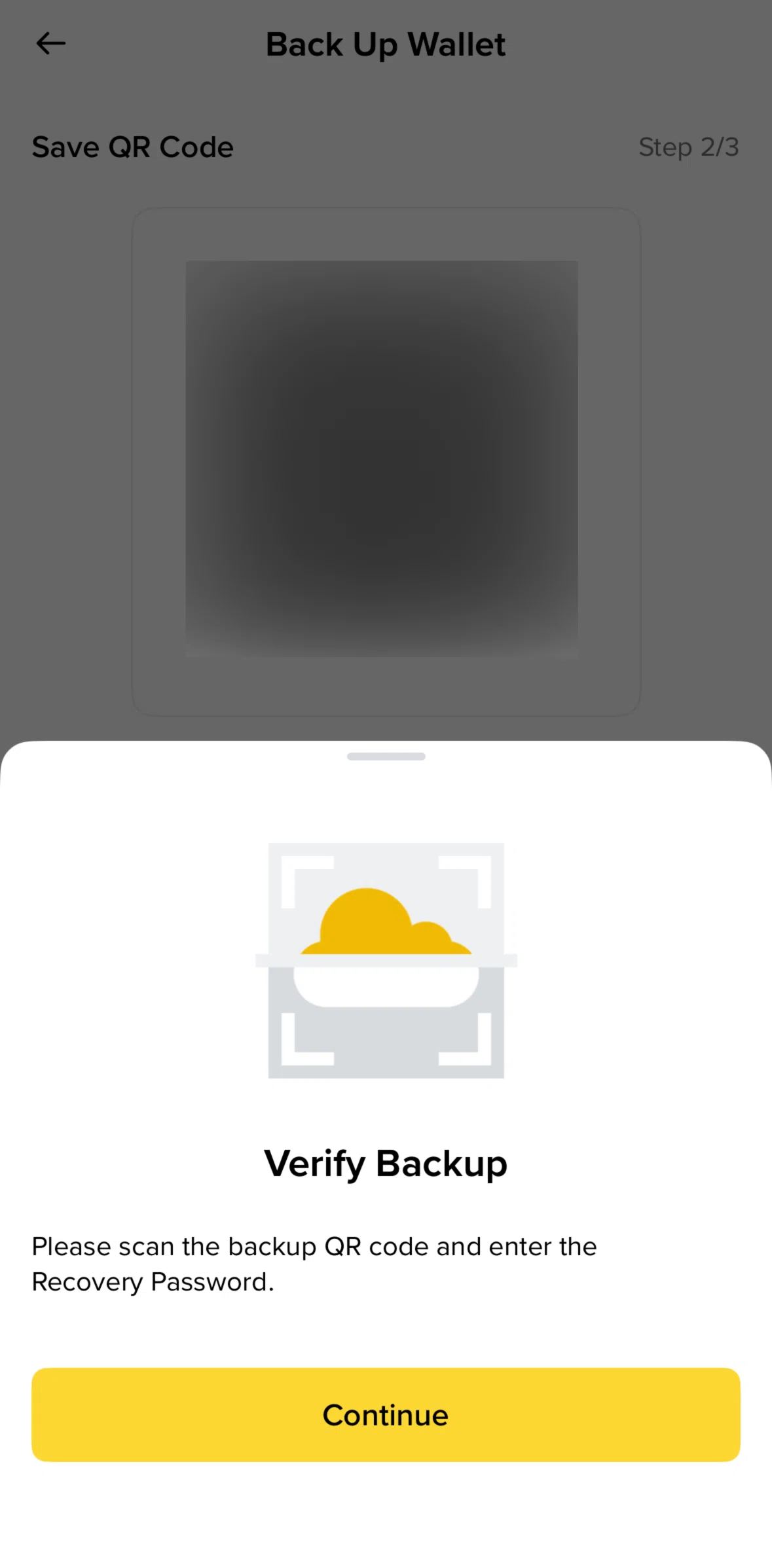 Binance Screen screen in the Scanning a QR code flow