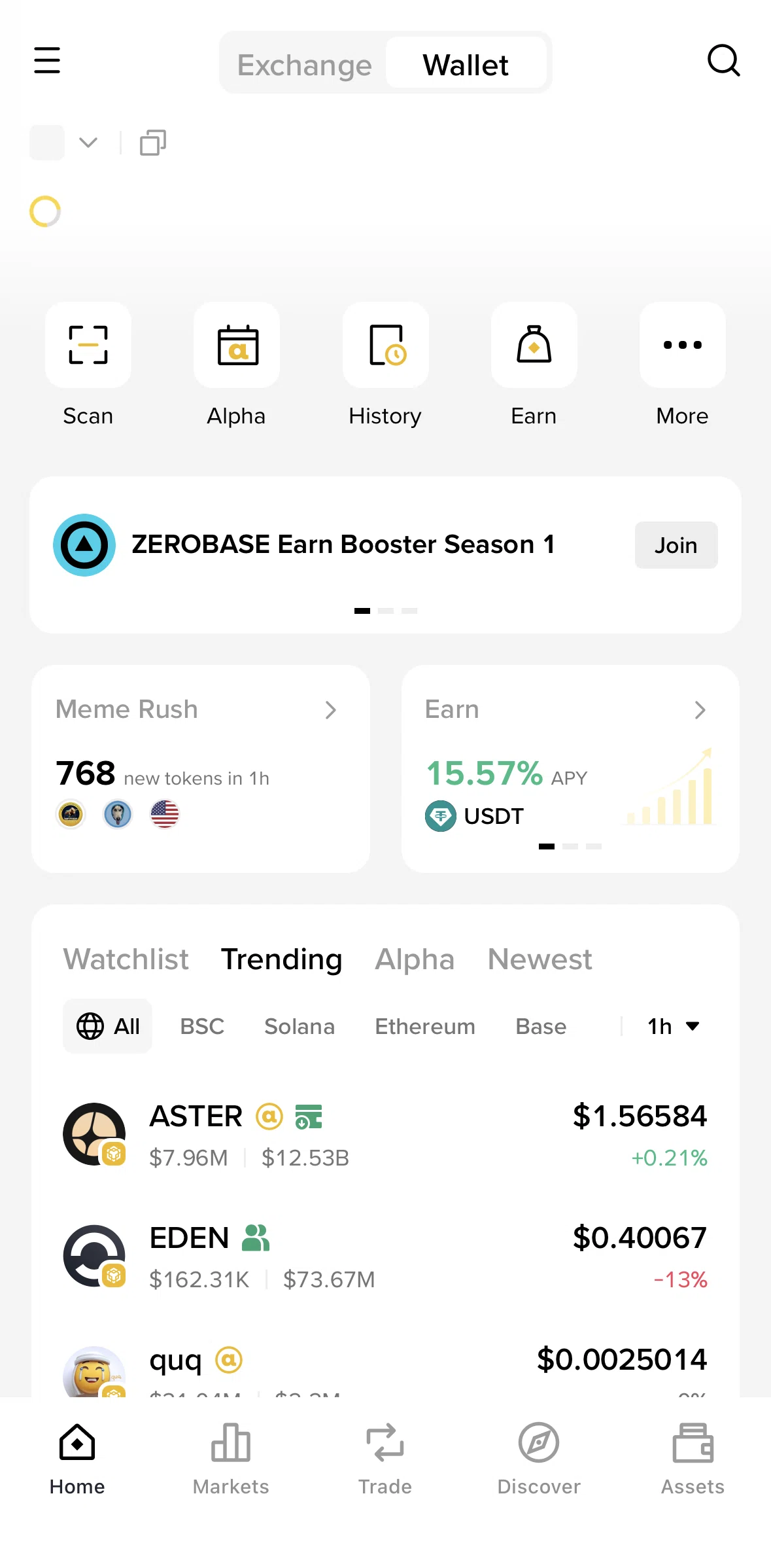 Binance Screen screen in the Setting up Binance Wallet flow