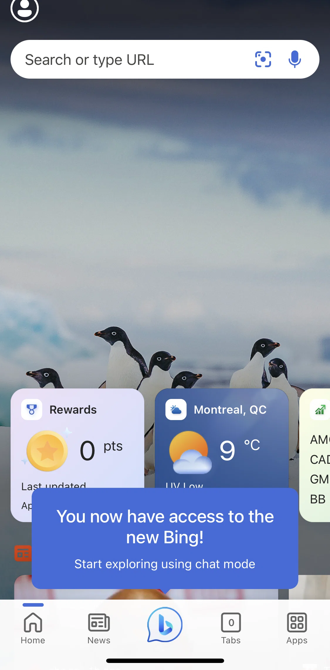 Bing Screen screen in the Home flow