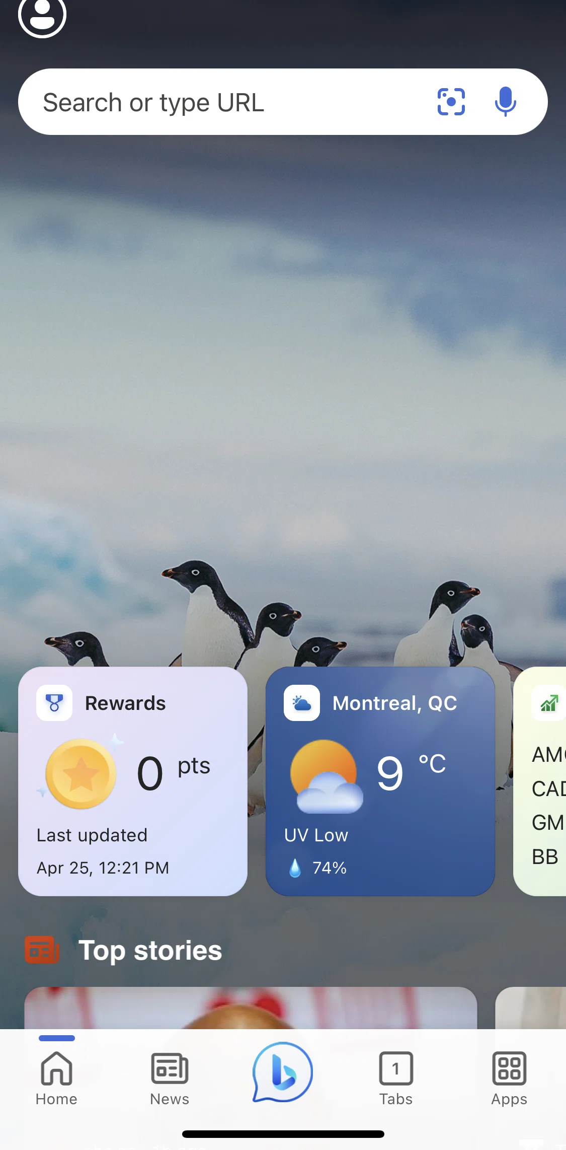 Bing Screen screen in the Profile flow
