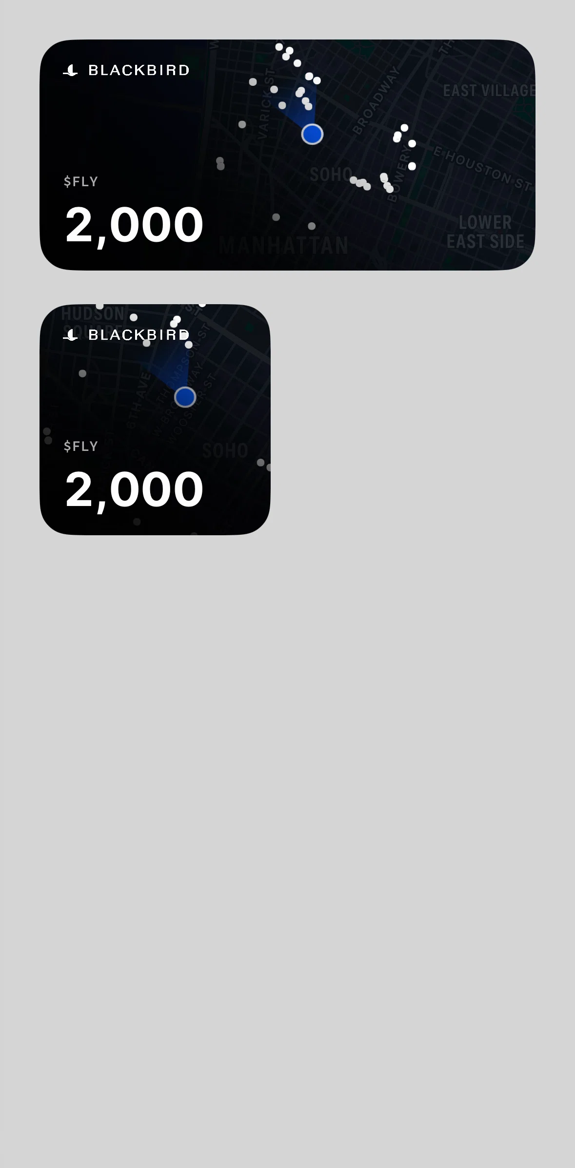 Blackbird Screen screen in the Widgets flow