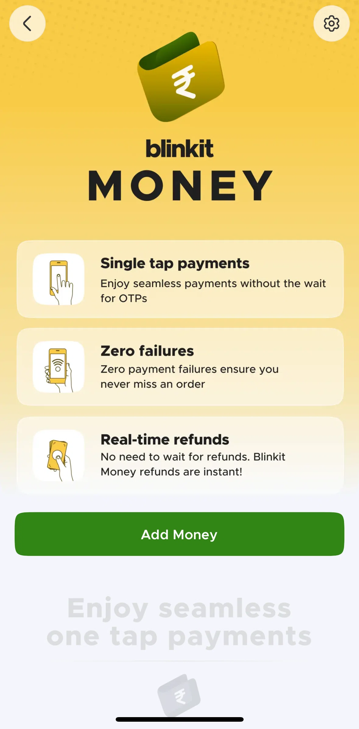 Blinkit Screen screen in the Blinkit Money settings flow