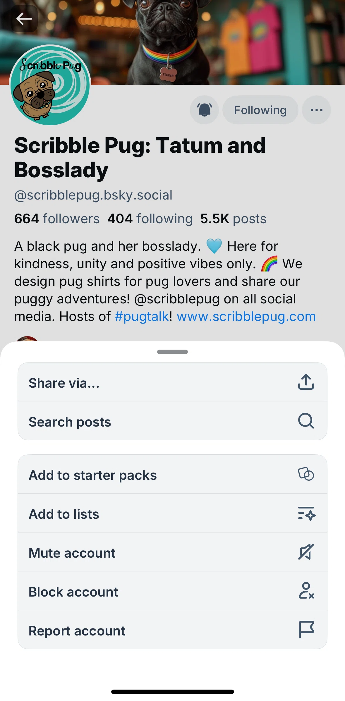 Bluesky Social Screen screen in the Blocking an account flow