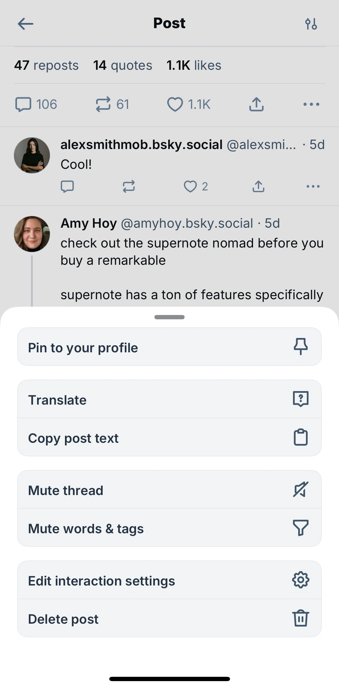 Bluesky Social Screen screen in the Deleting a post flow