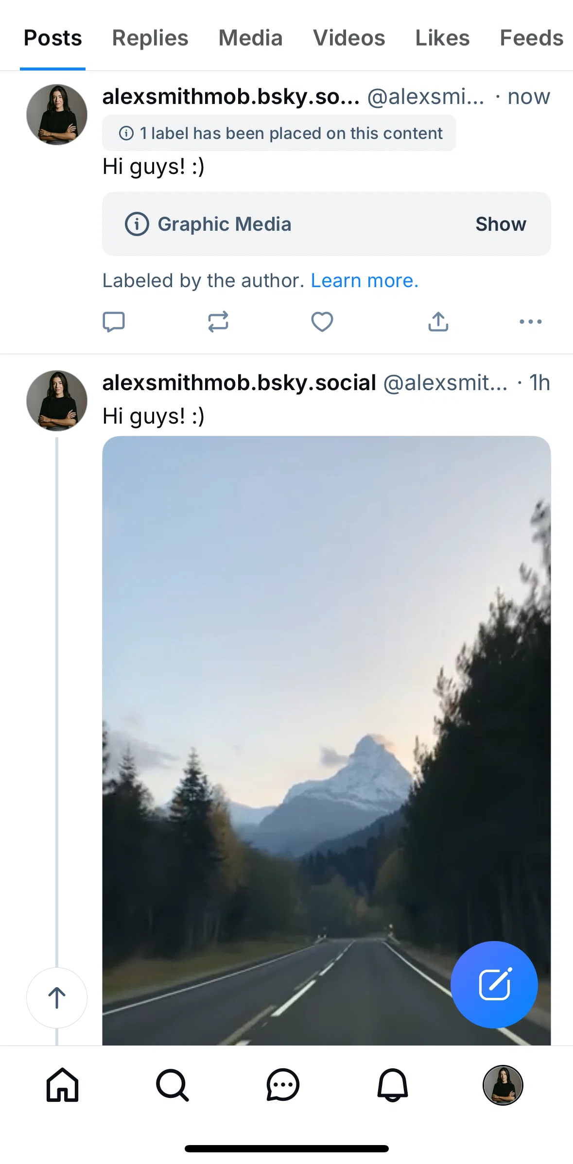 Bluesky Social Screen screen in the Labeled post detail flow