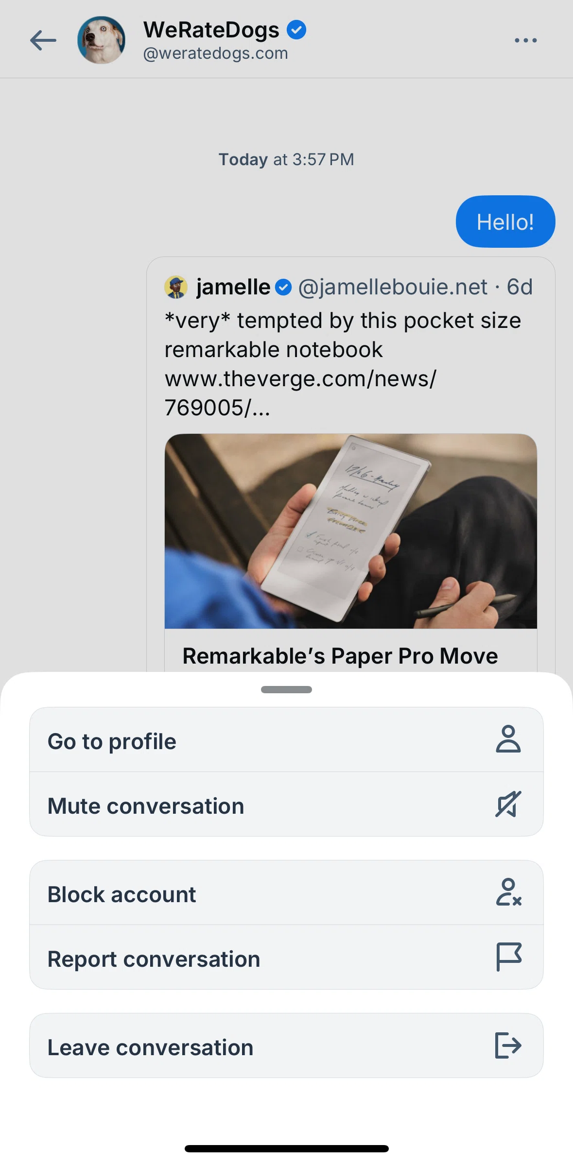 Bluesky Social Screen screen in the Leaving a conversation flow