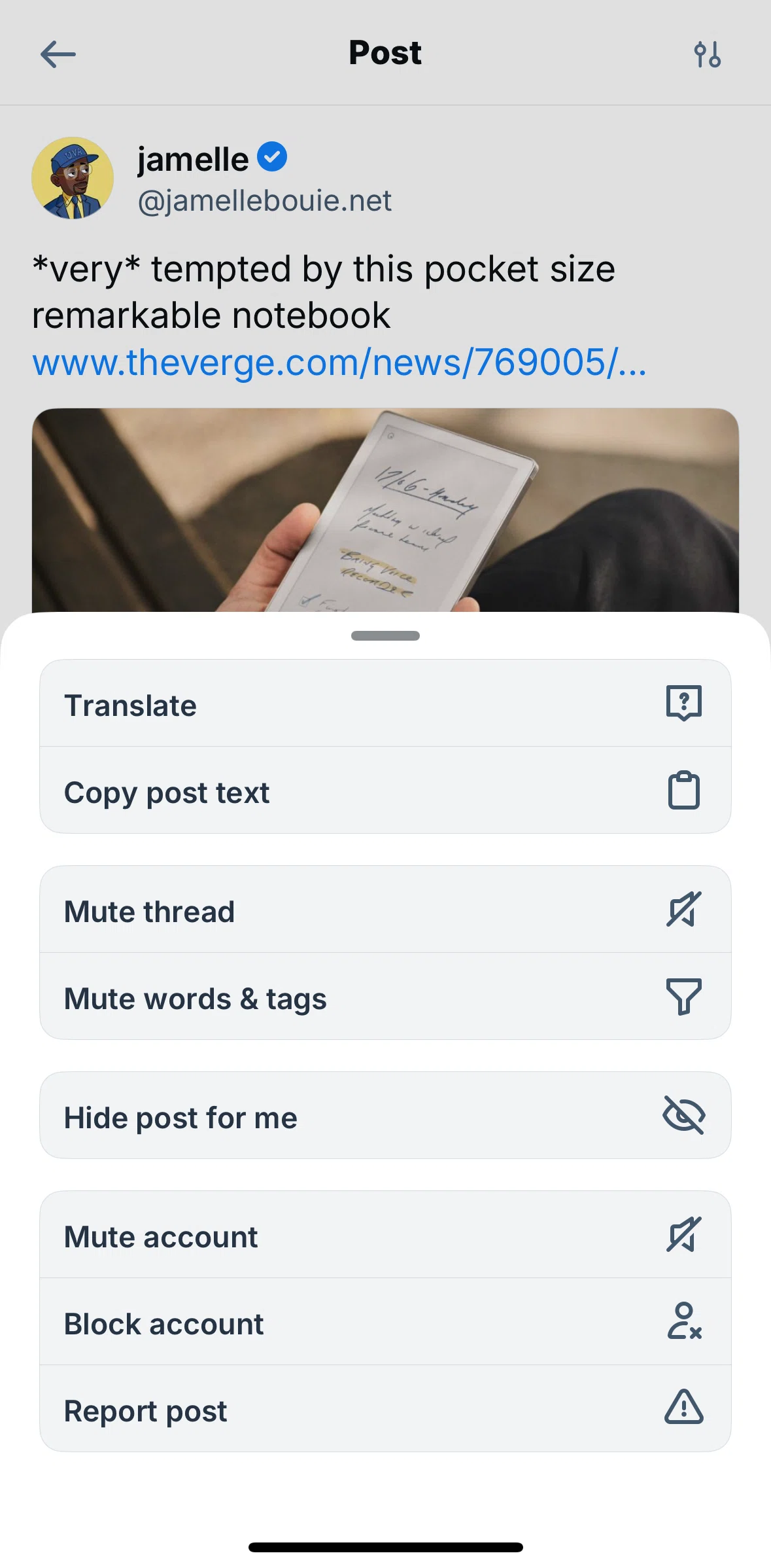 Bluesky Social Screen screen in the Muting a thread flow