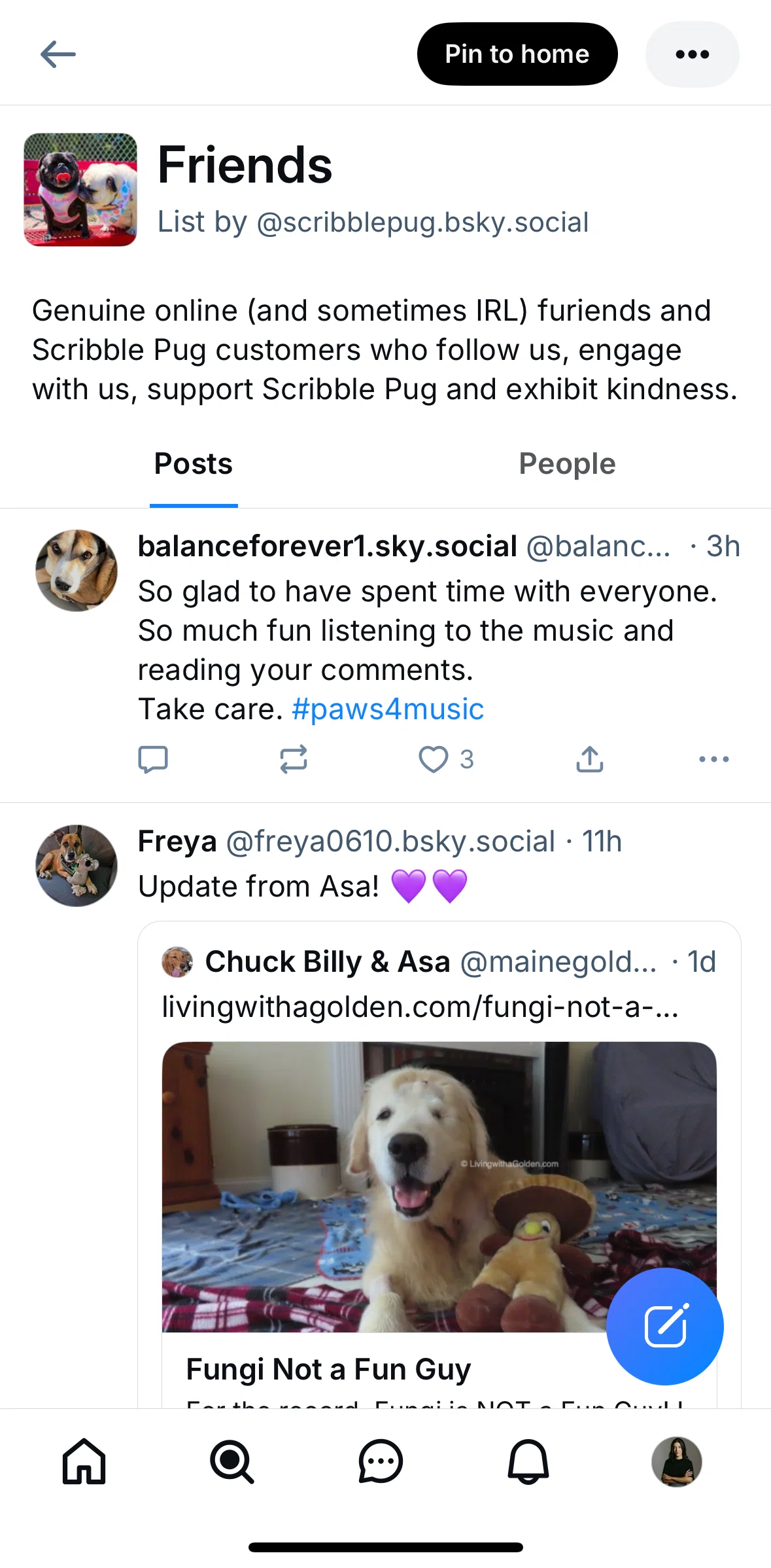Bluesky Social Screen screen in the Pinning a list flow