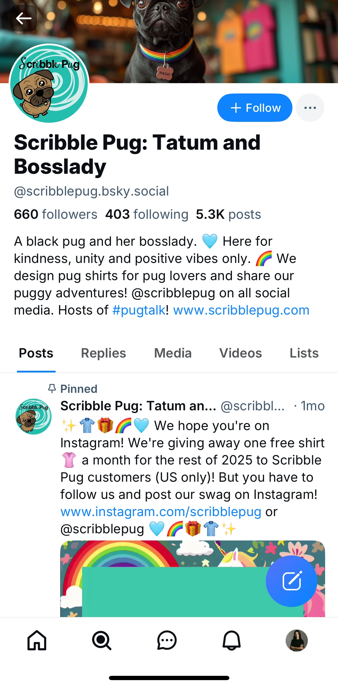 Bluesky Social Screen screen in the Searching posts flow