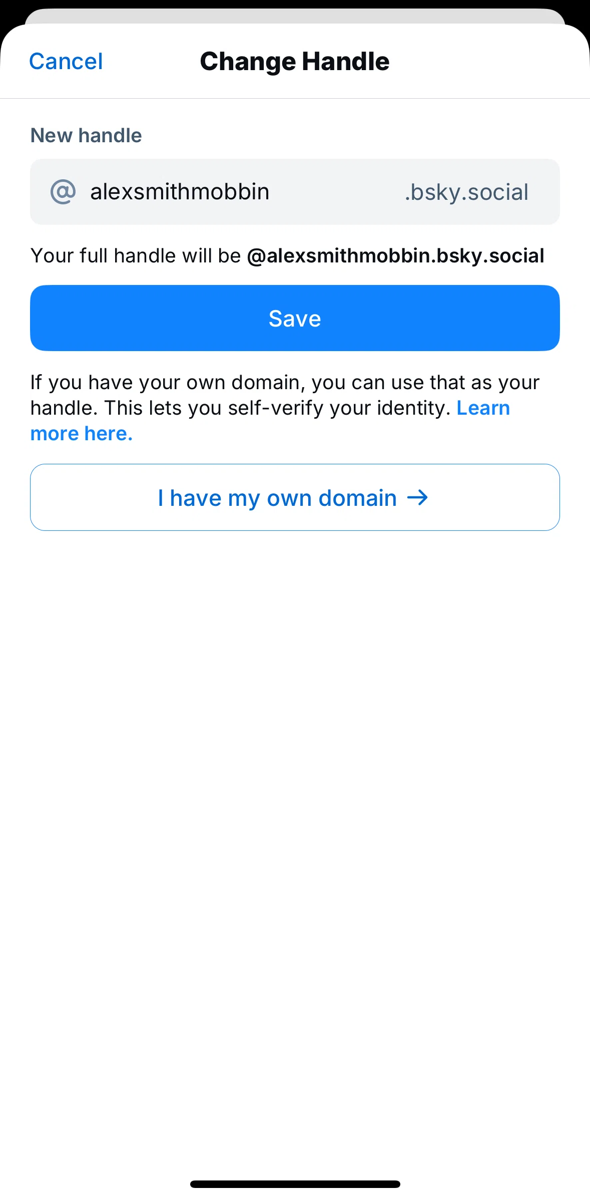 Bluesky Social Screen screen in the Verify DNS record flow