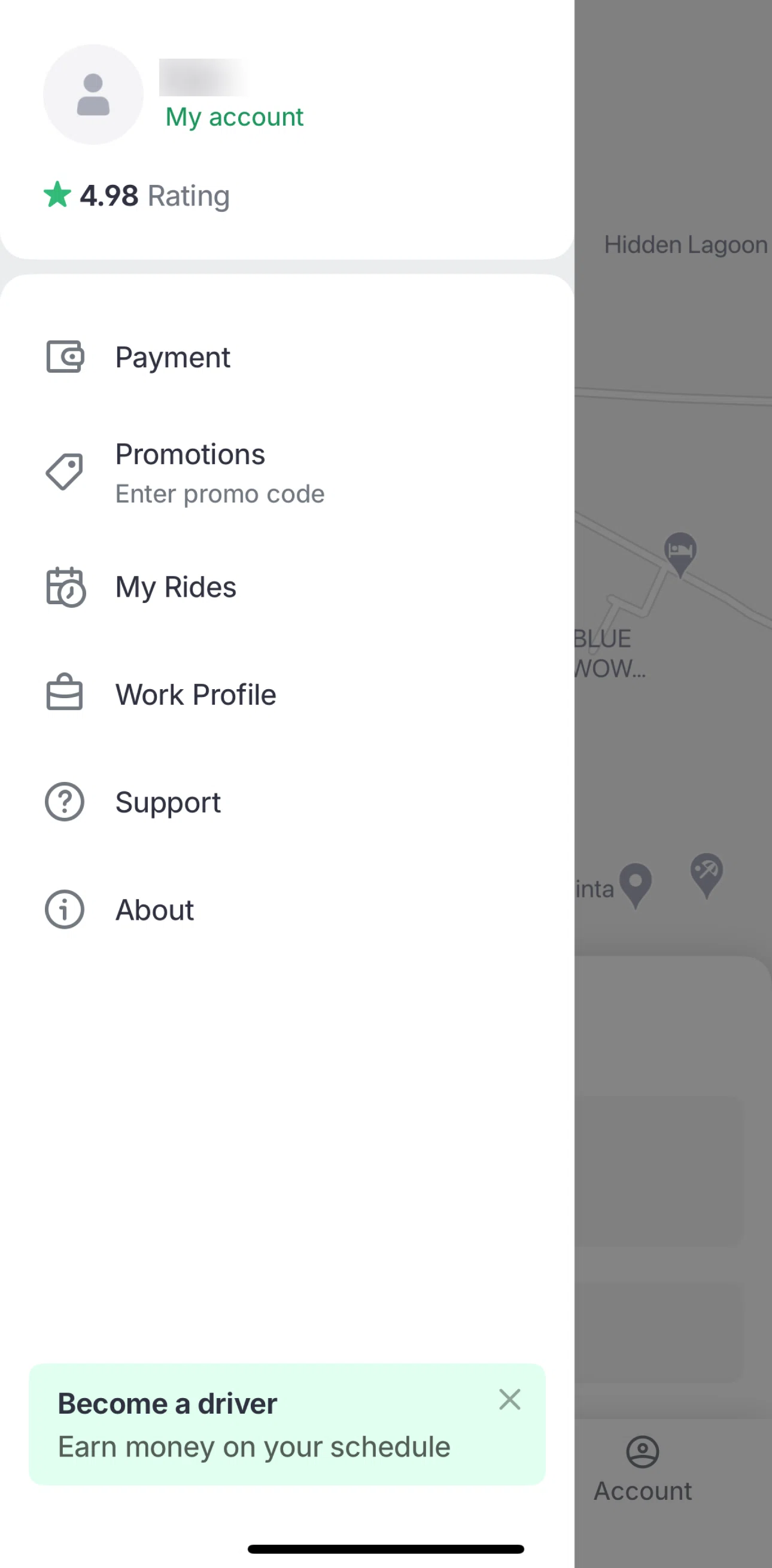 Bolt Screen screen in the Promotions flow