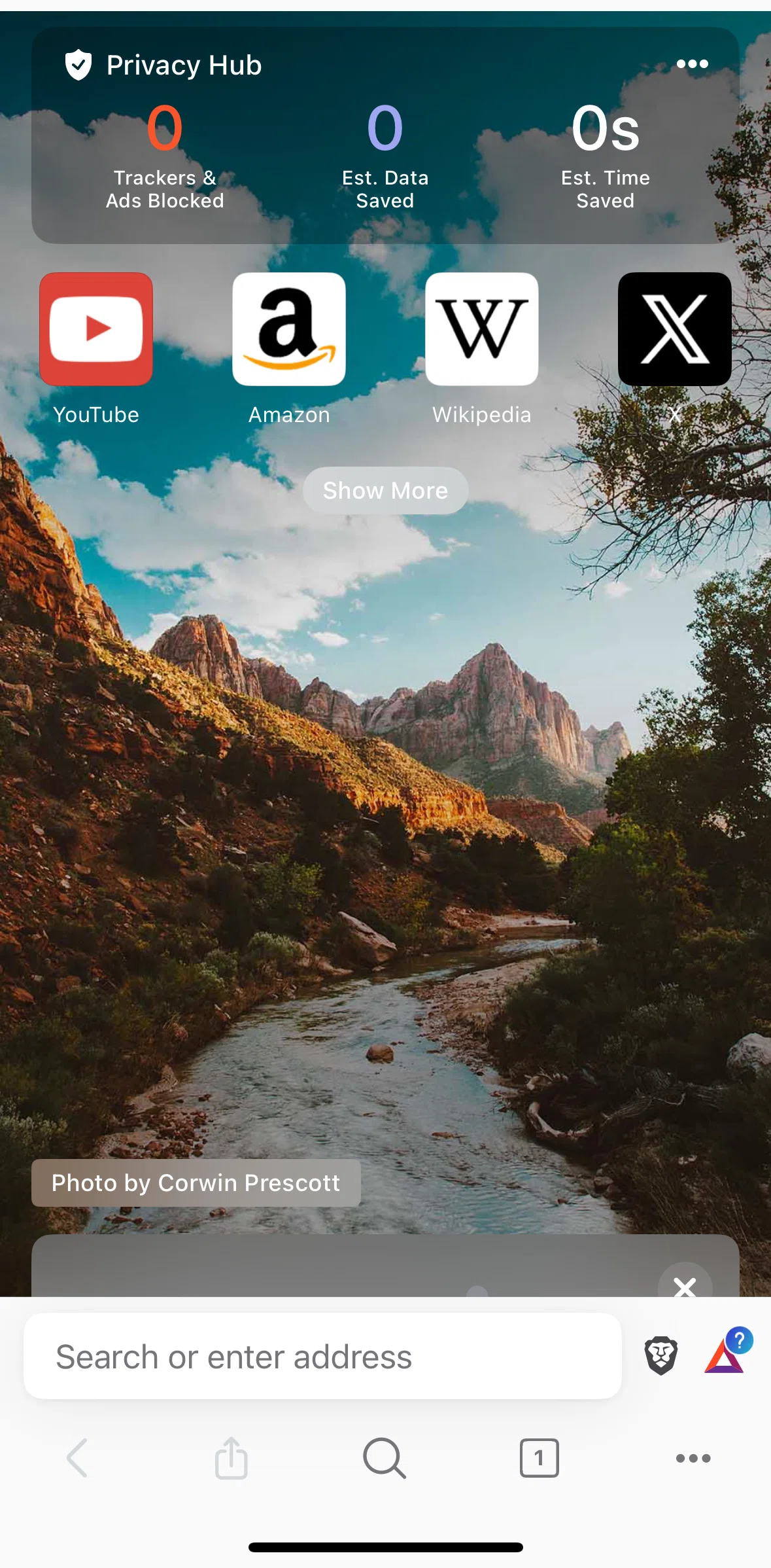 Brave Browser Screen screen in the Home flow
