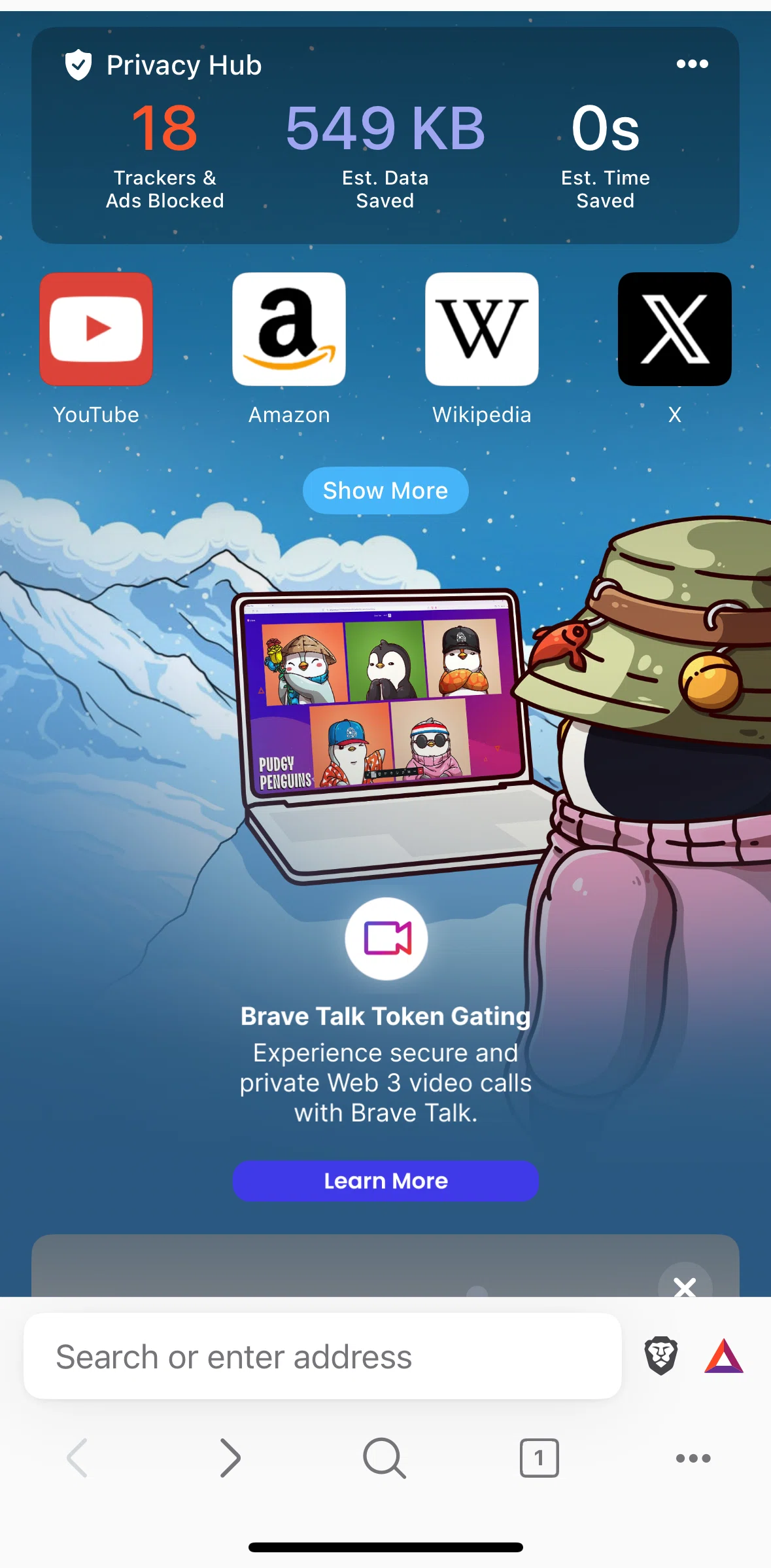 Brave Browser Screen screen in the Privacy hub settings flow