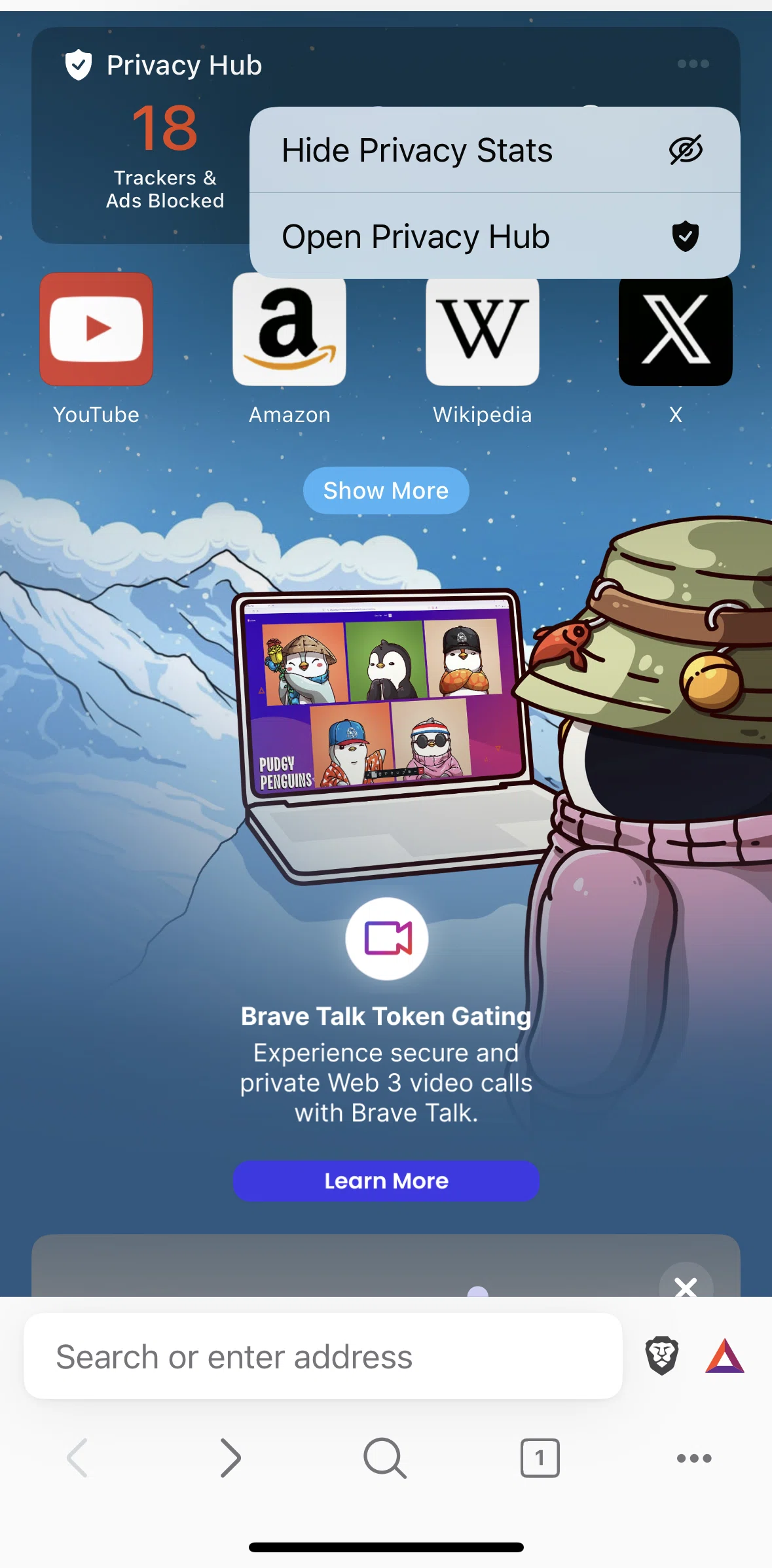 Brave Browser Screen screen in the Privacy hub flow