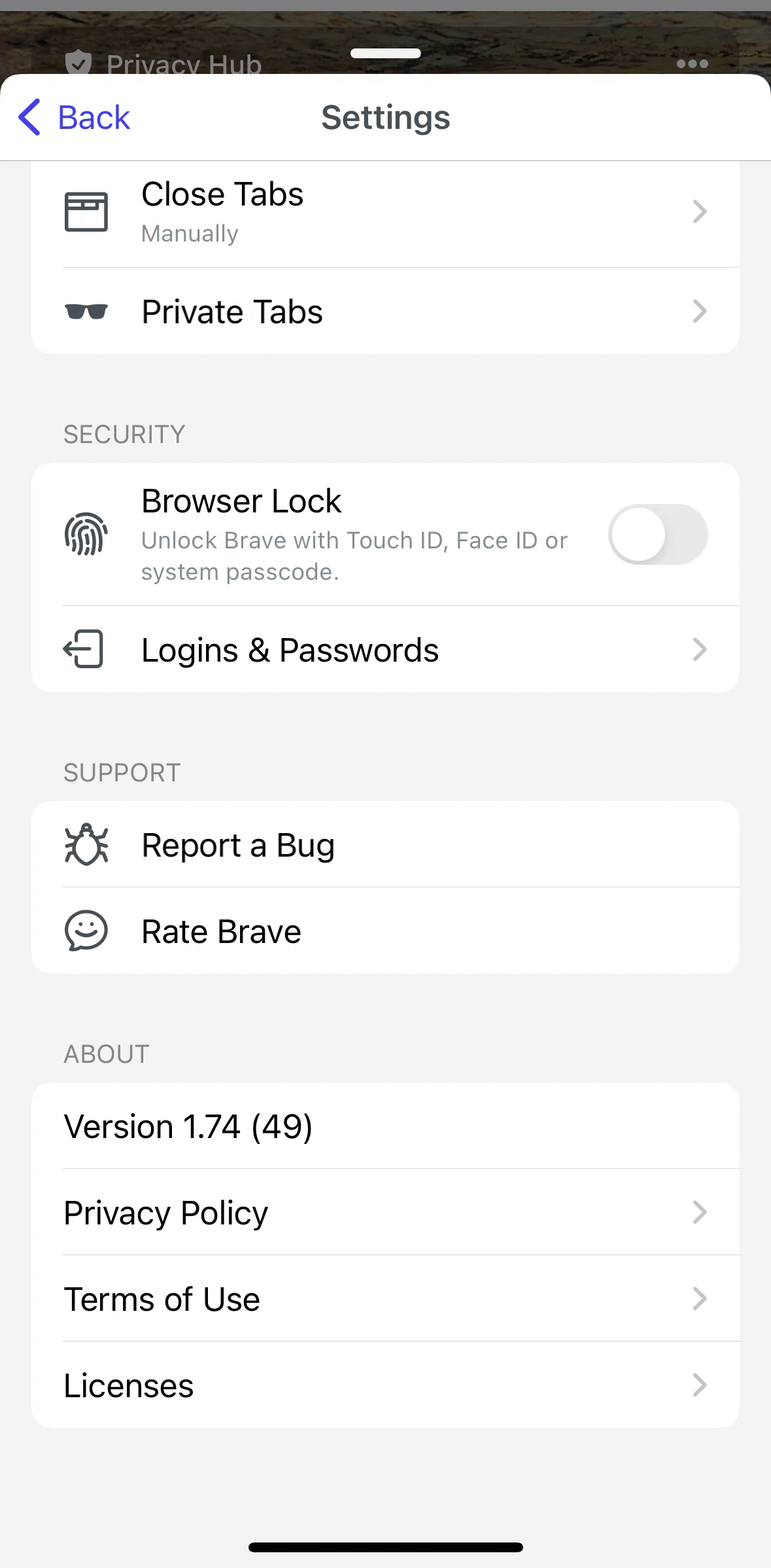 Brave Browser Screen screen in the Terms of use flow