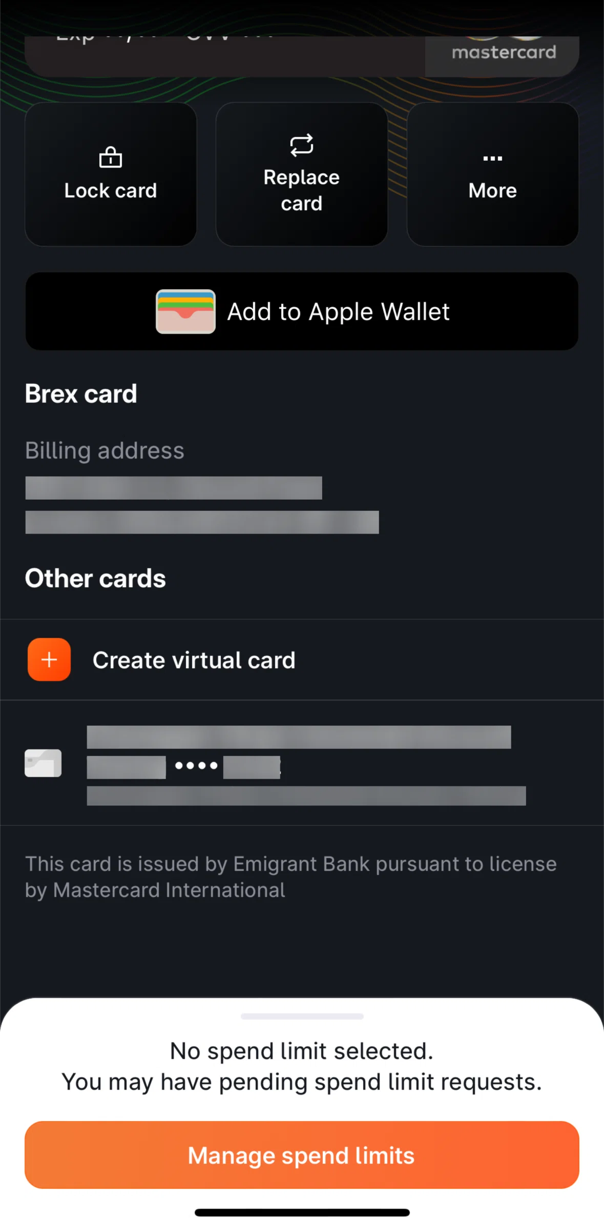 Brex Screen screen in the View other card flow