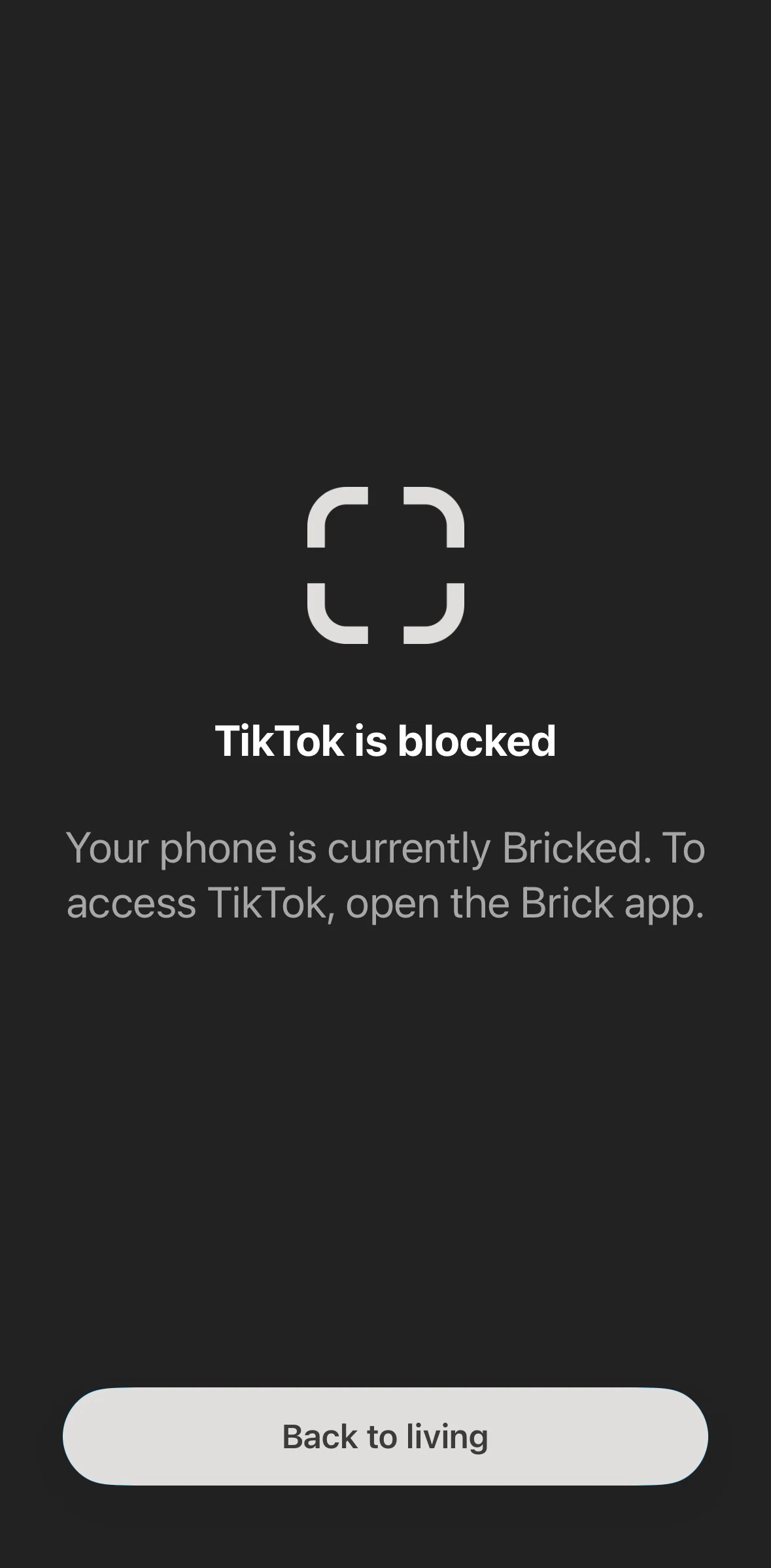 Brick Screen screen in the Bricked app flow