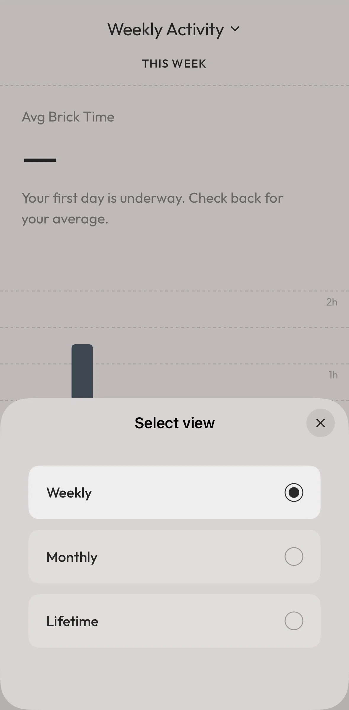 Brick Screen screen in the Switching to lifetime view flow