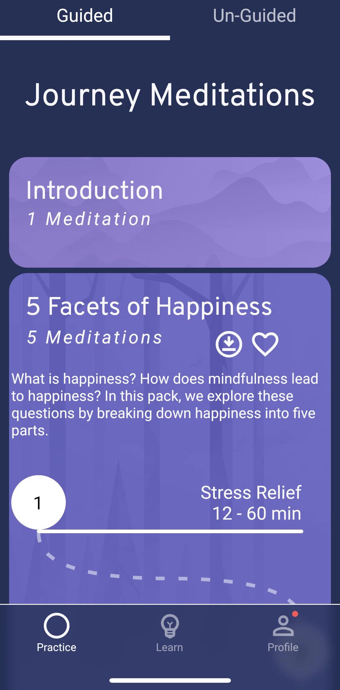 Brightmind Screen screen in the Guided journey meditation flow