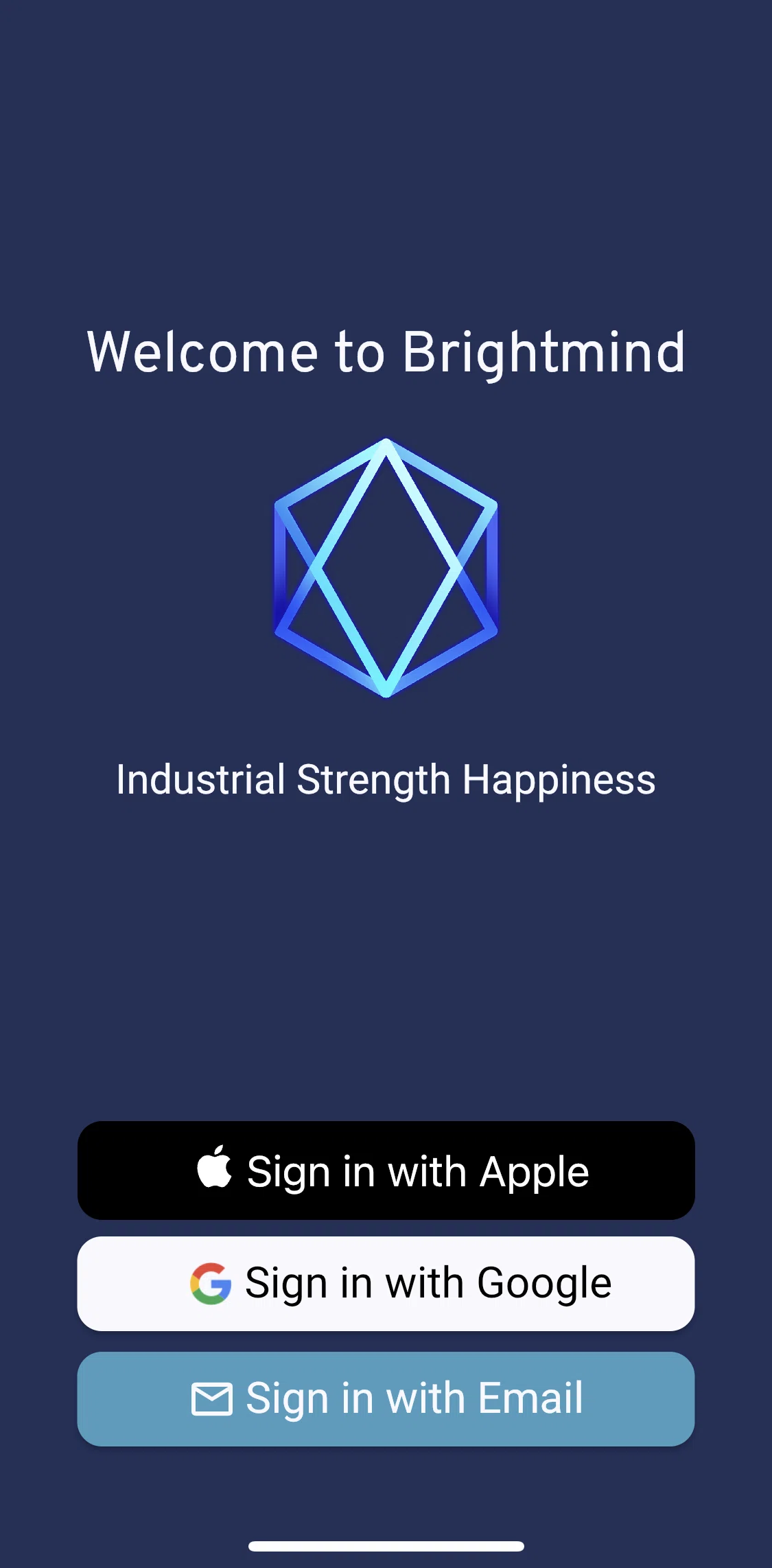 Brightmind Screen screen in the Logging in flow