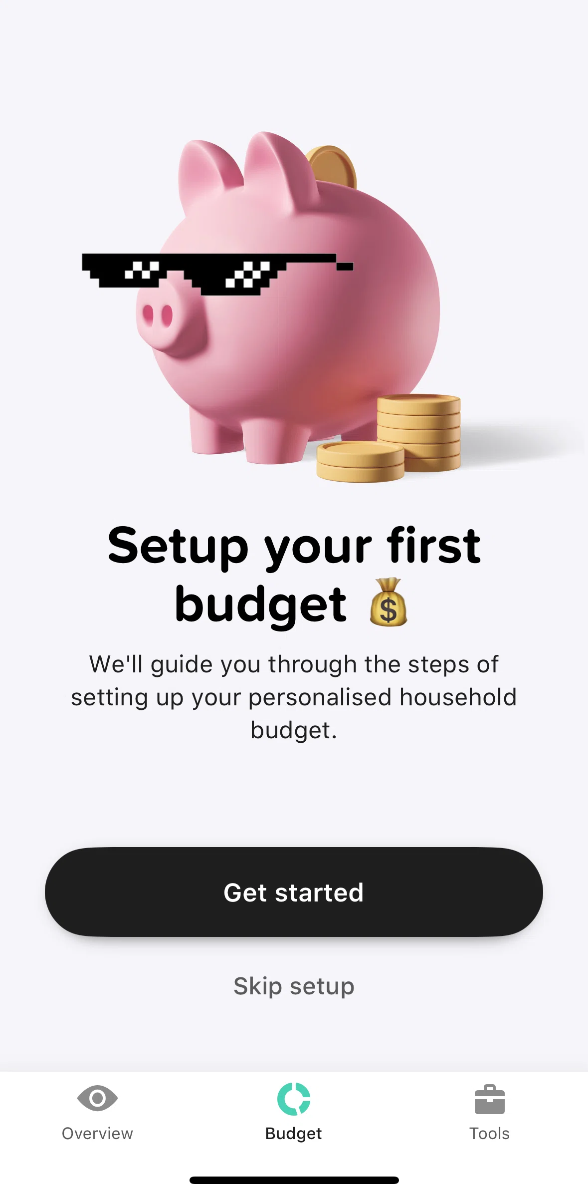 Buddy Screen screen in the Creating a new budget flow
