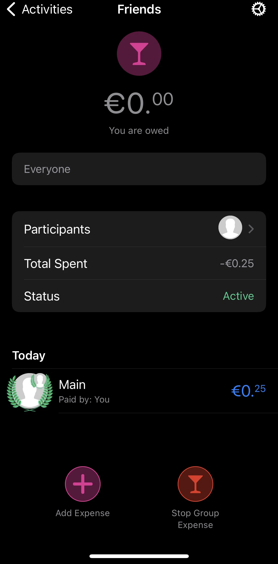 bunq Screen screen in the Stopping a group expense flow