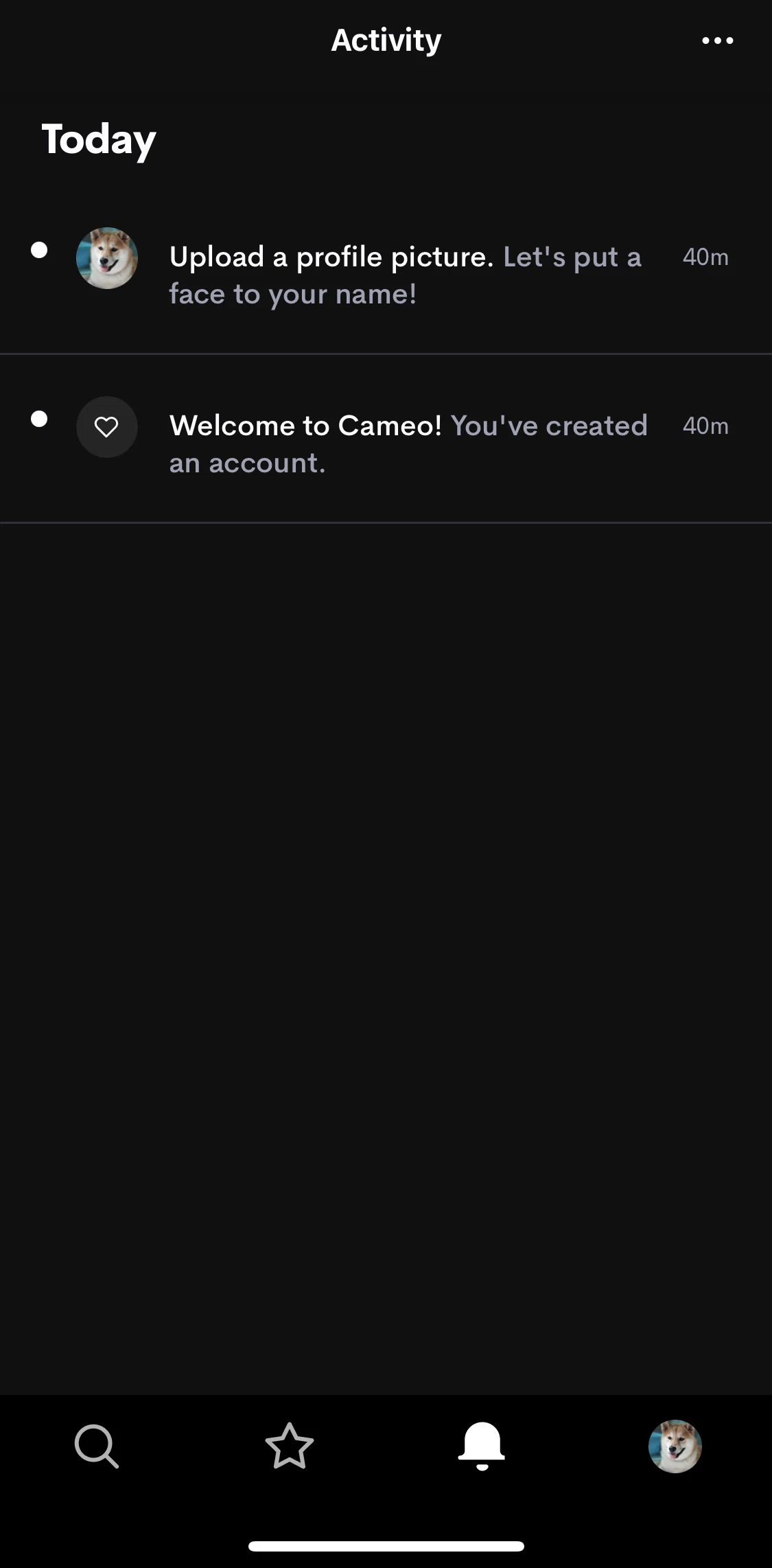 Cameo Screen screen in the Activity flow