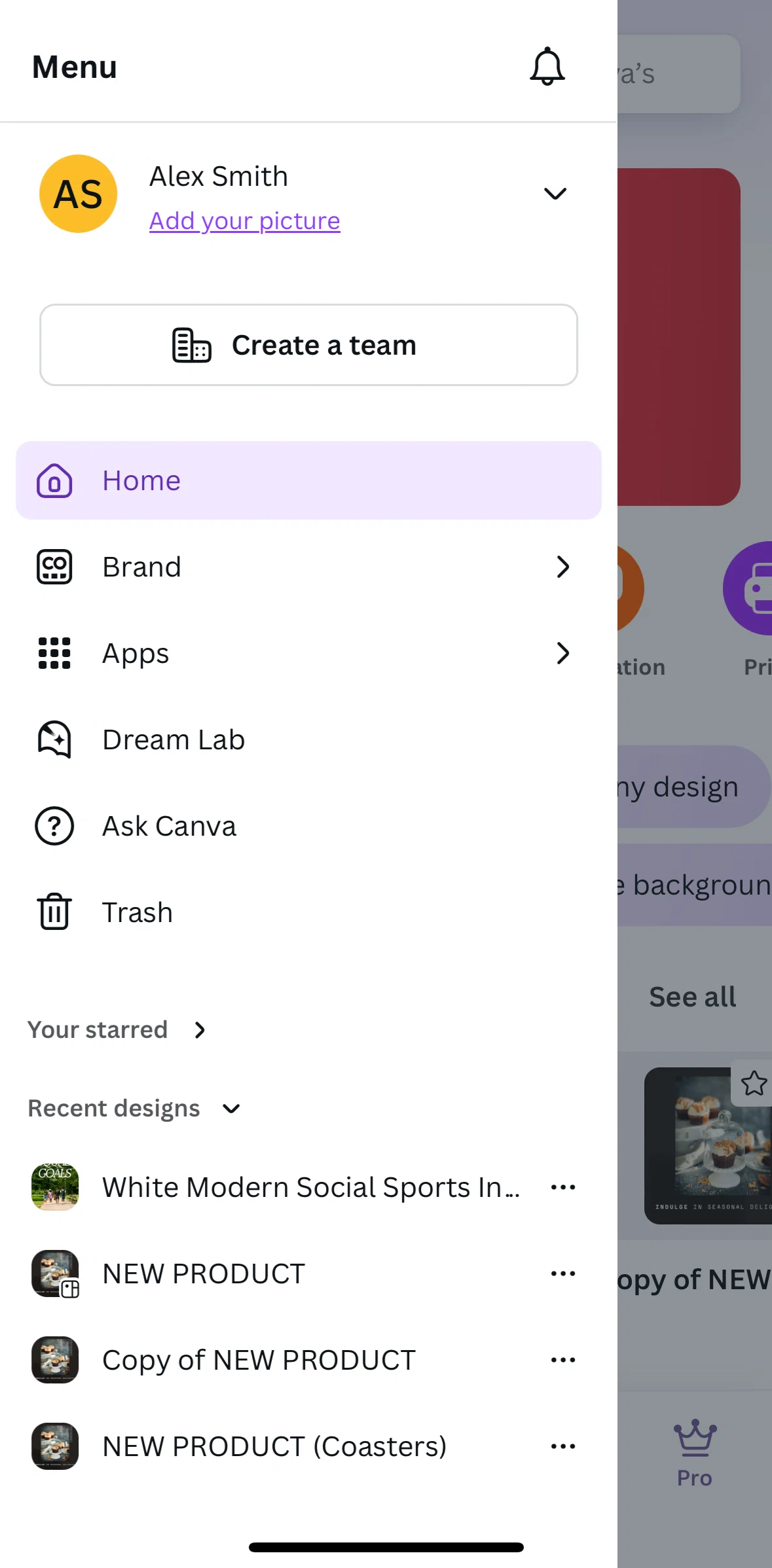 Canva Screen screen in the Apps flow