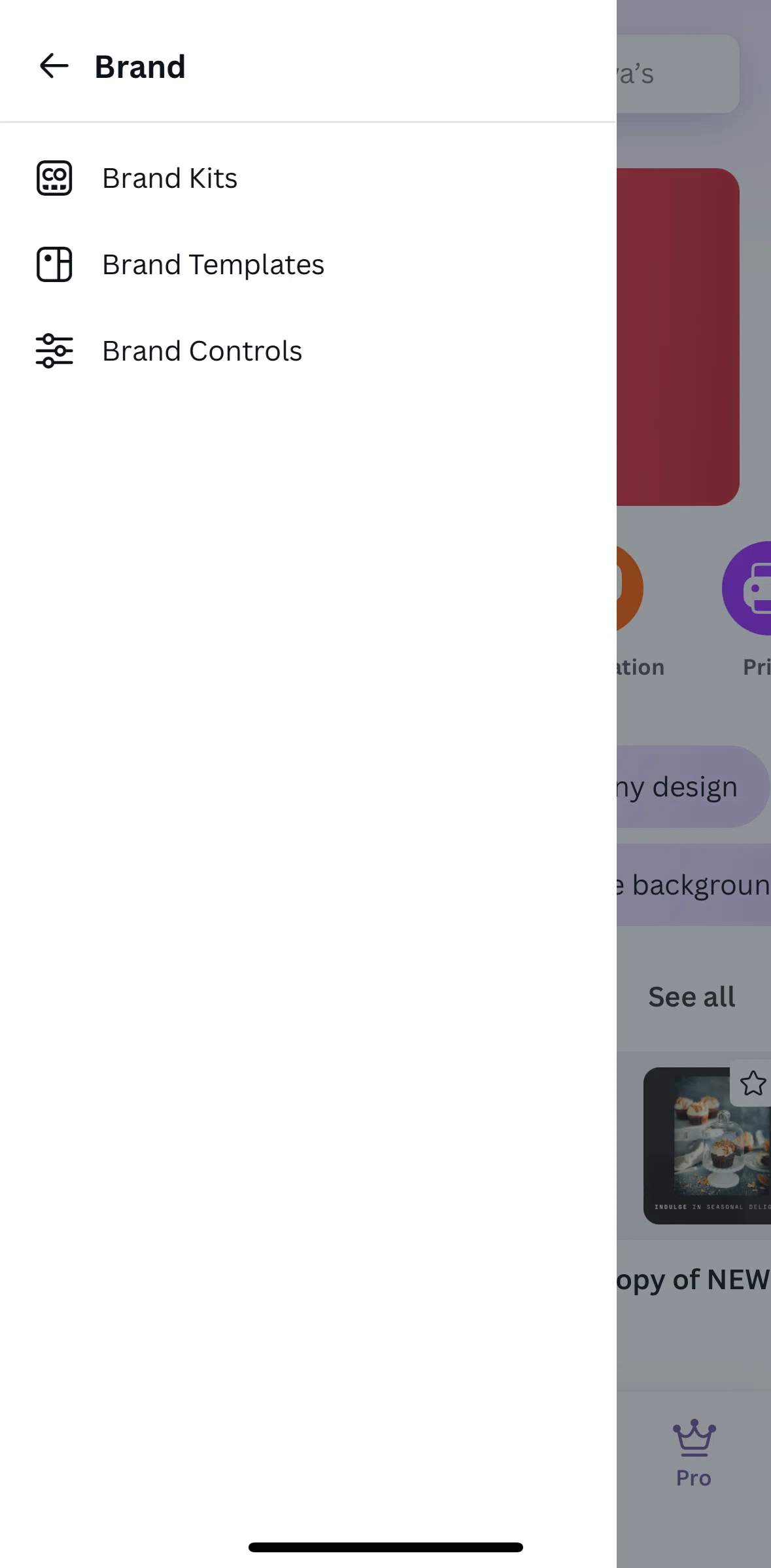 Canva Screen screen in the Brand kits flow